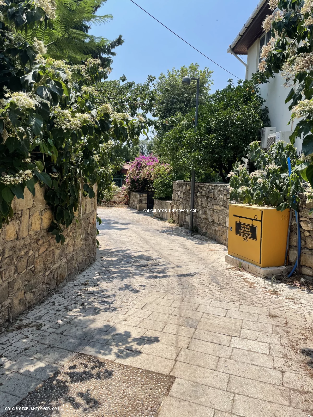 Вид на солнечную мощеную улицу в античном городе Сиде с каменными заборами, густой зеленью и цветущими кустарниками.