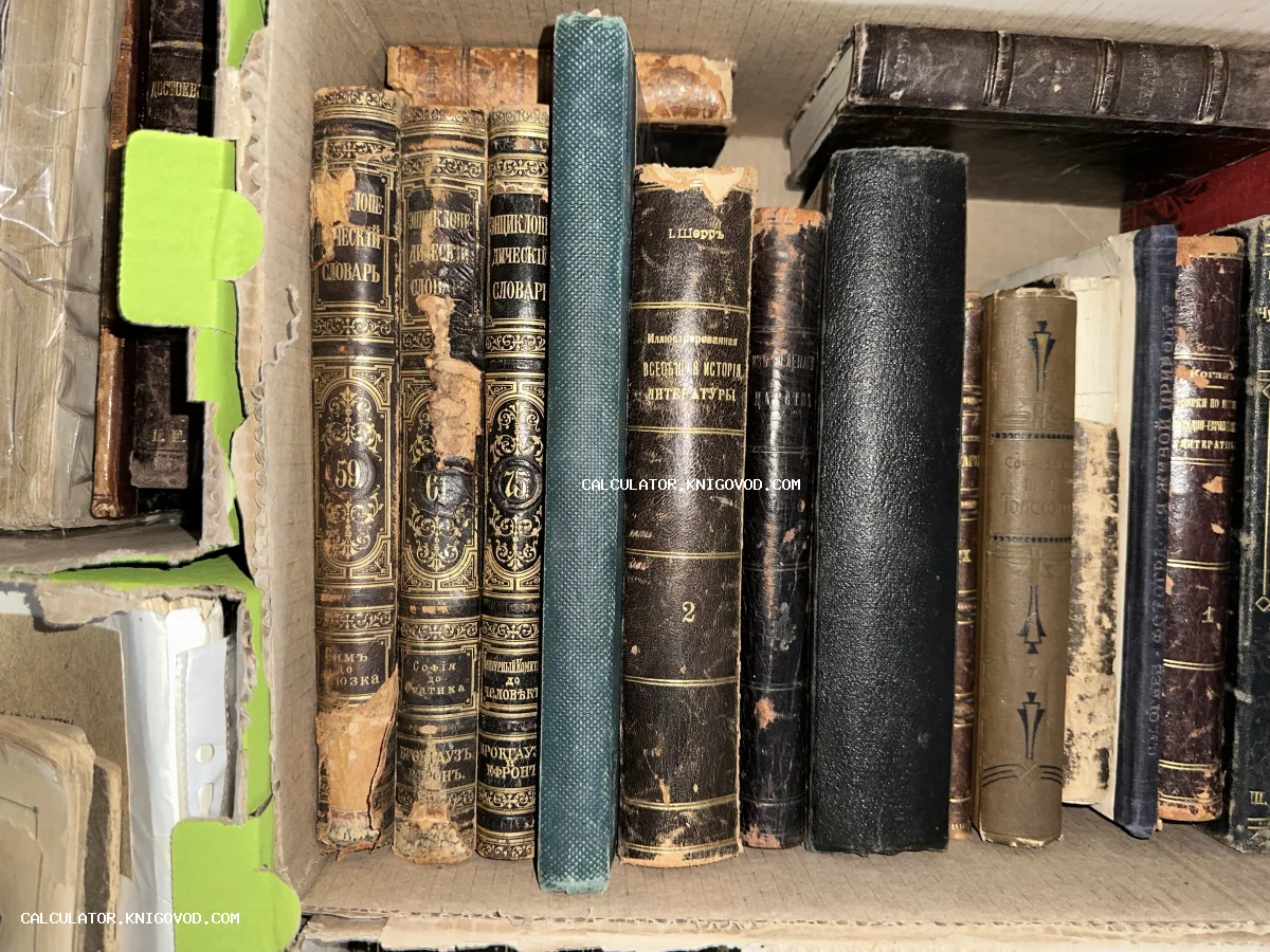 Ряд антикварных книг с золотым тиснением на корешках, включая тома энциклопедического словаря Брокгауза и Ефрона.