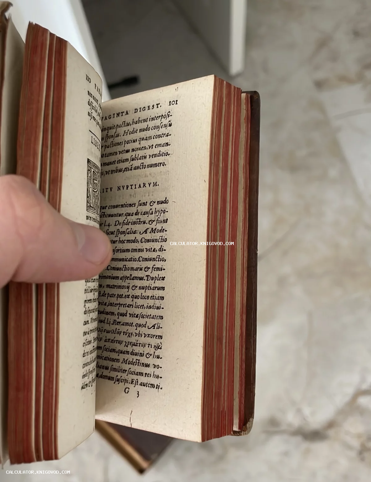 Раскрытая старинная книга на латыни с красным мраморированным обрезом в руке коллекционера.