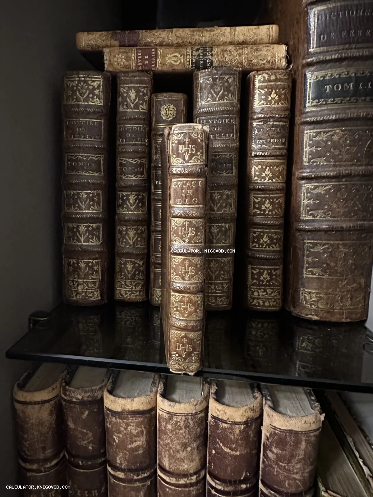 Старинные книги с золотым тиснением на кожаных корешках, стоящие на стеклянной полке библиотеки.