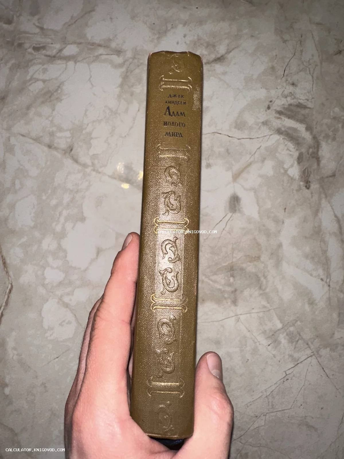 Корешок книги Джека Линдсея «Адам нового мира» в твердом оливковом переплете с золотым тиснением.