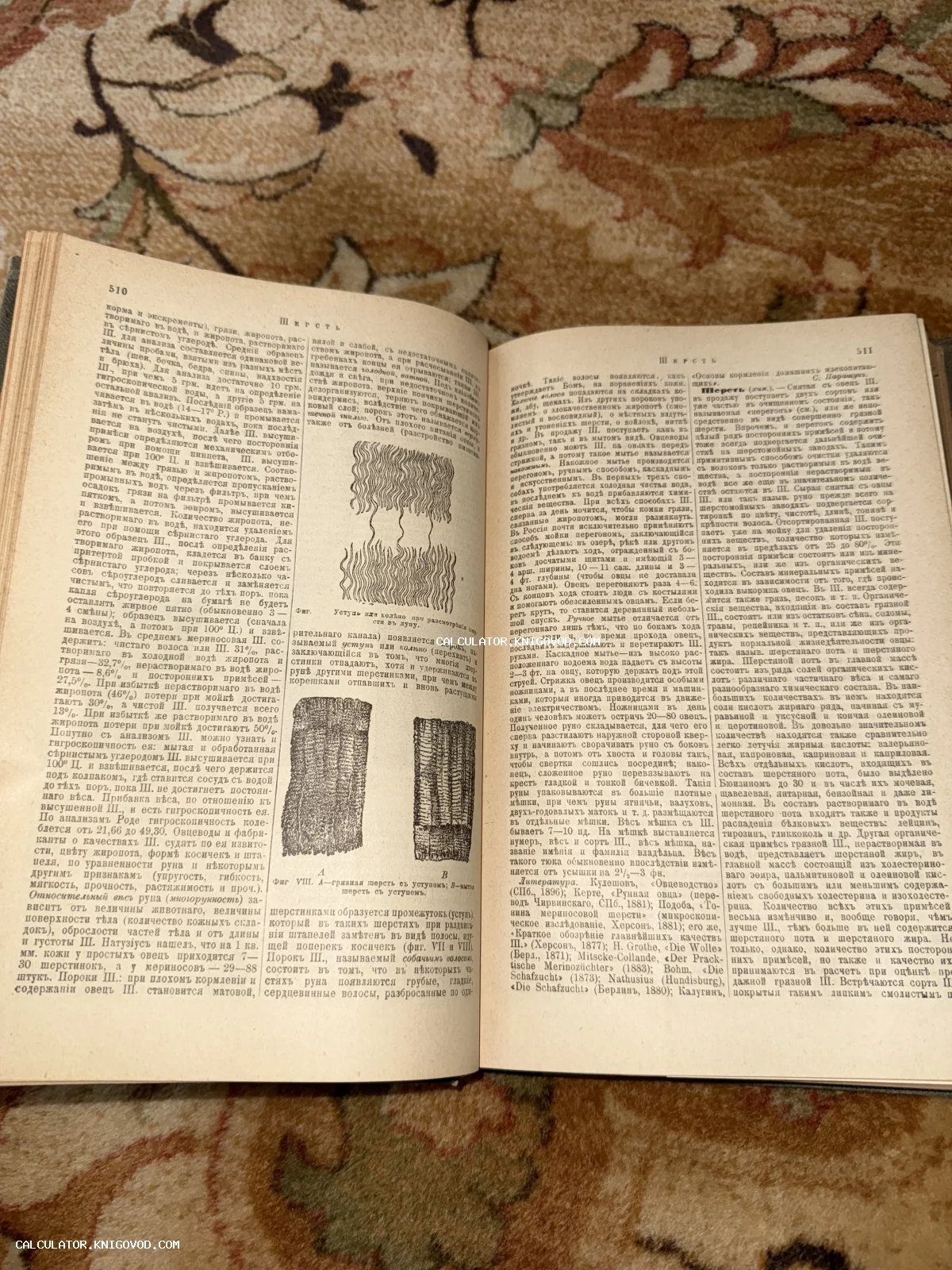 Разворот старинной книги с дореволюционным шрифтом и иллюстрациями структуры шерсти под микроскопом.