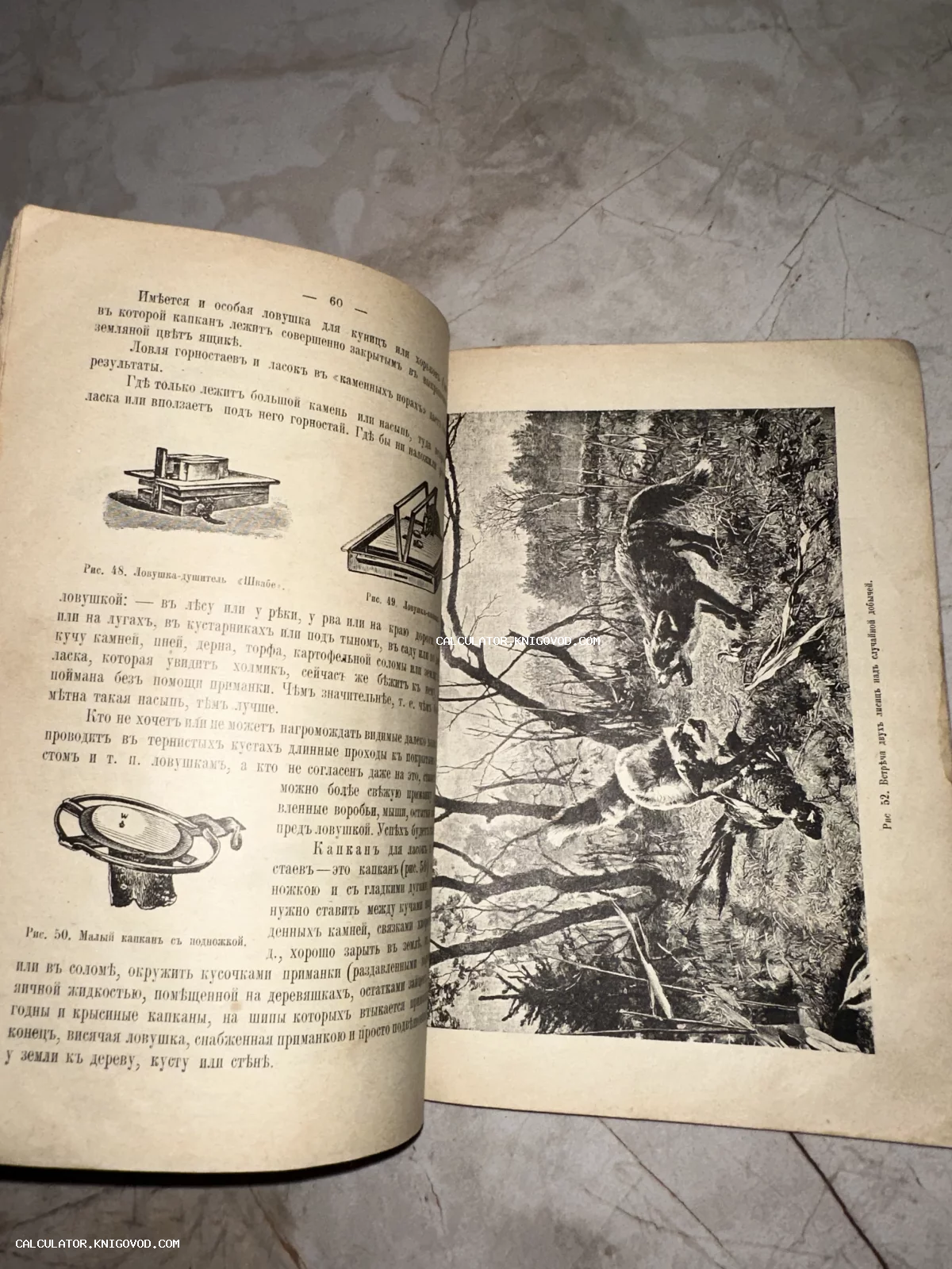 Разворот антикварной книги с дореволюционным шрифтом, схемами капканов и гравюрой, изображающей лисиц в лесу.