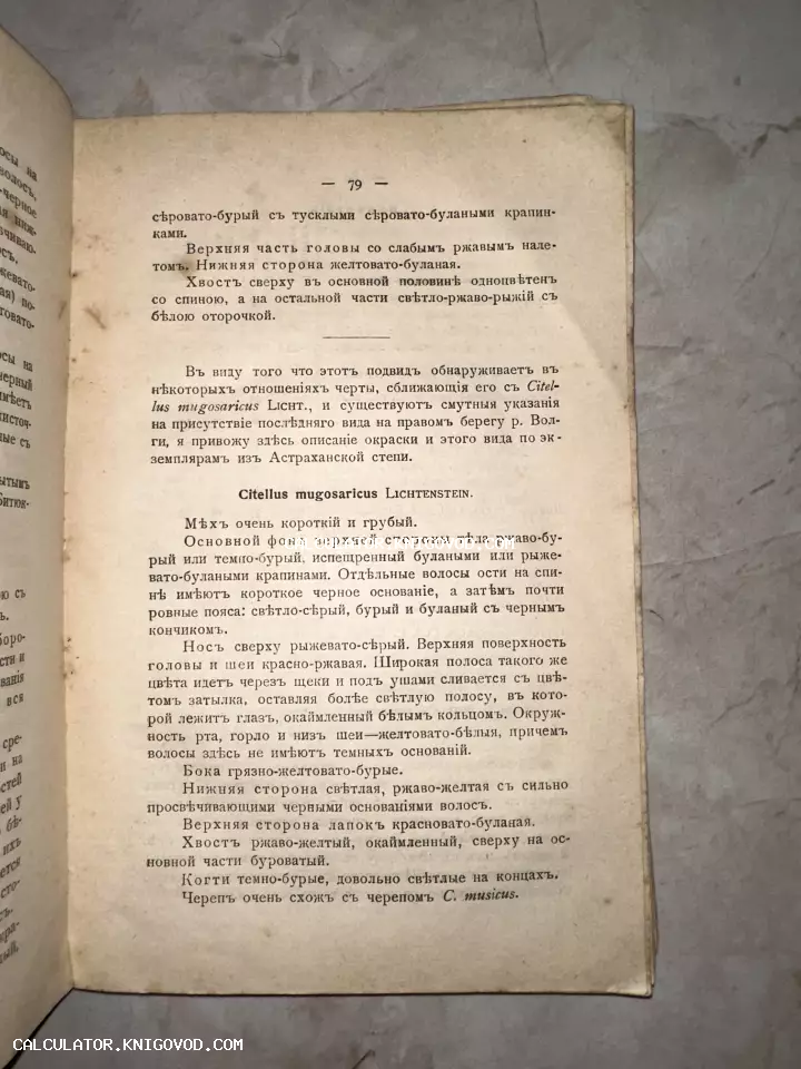 Старинная книжная страница с текстом на дореформенном русском языке, описывающая вид Citellus mugosaricus.