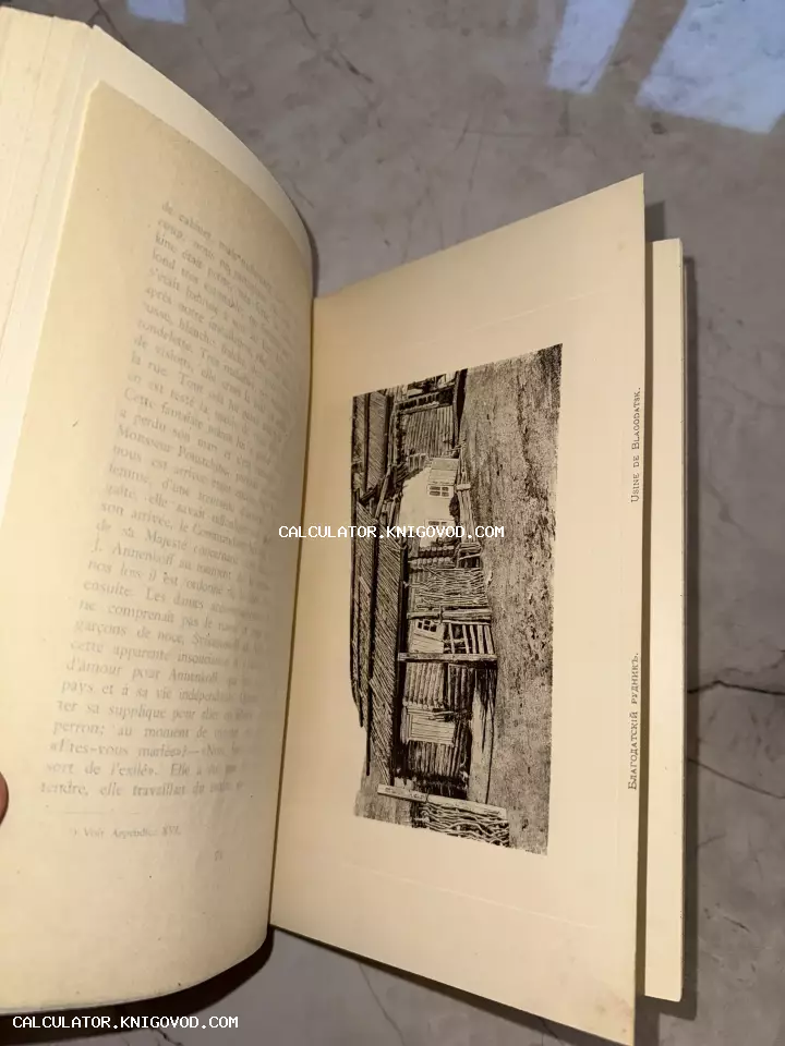 Разворот антикварной книги с французским текстом и гравюрой, изображающей Благодатский рудник в Сибири.