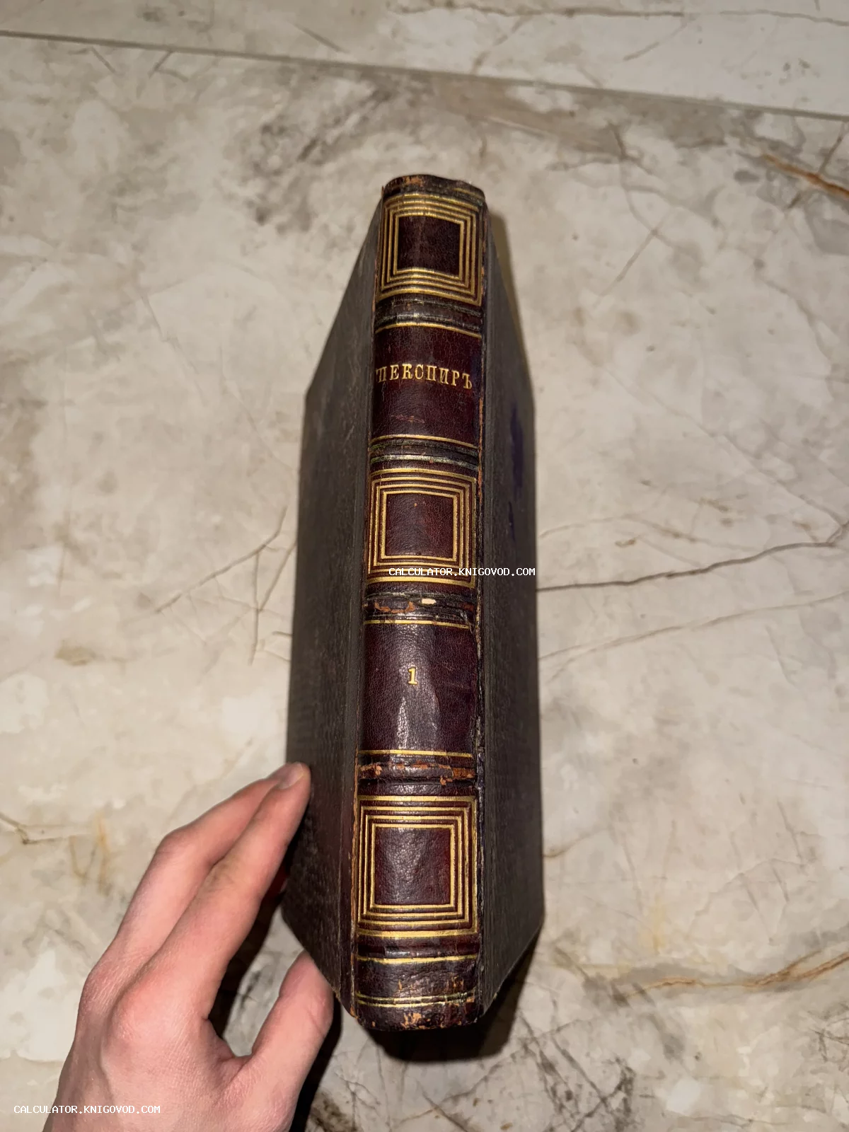 Корешок старинной книги с золотым тиснением и дореволюционной надписью Шекспиръ