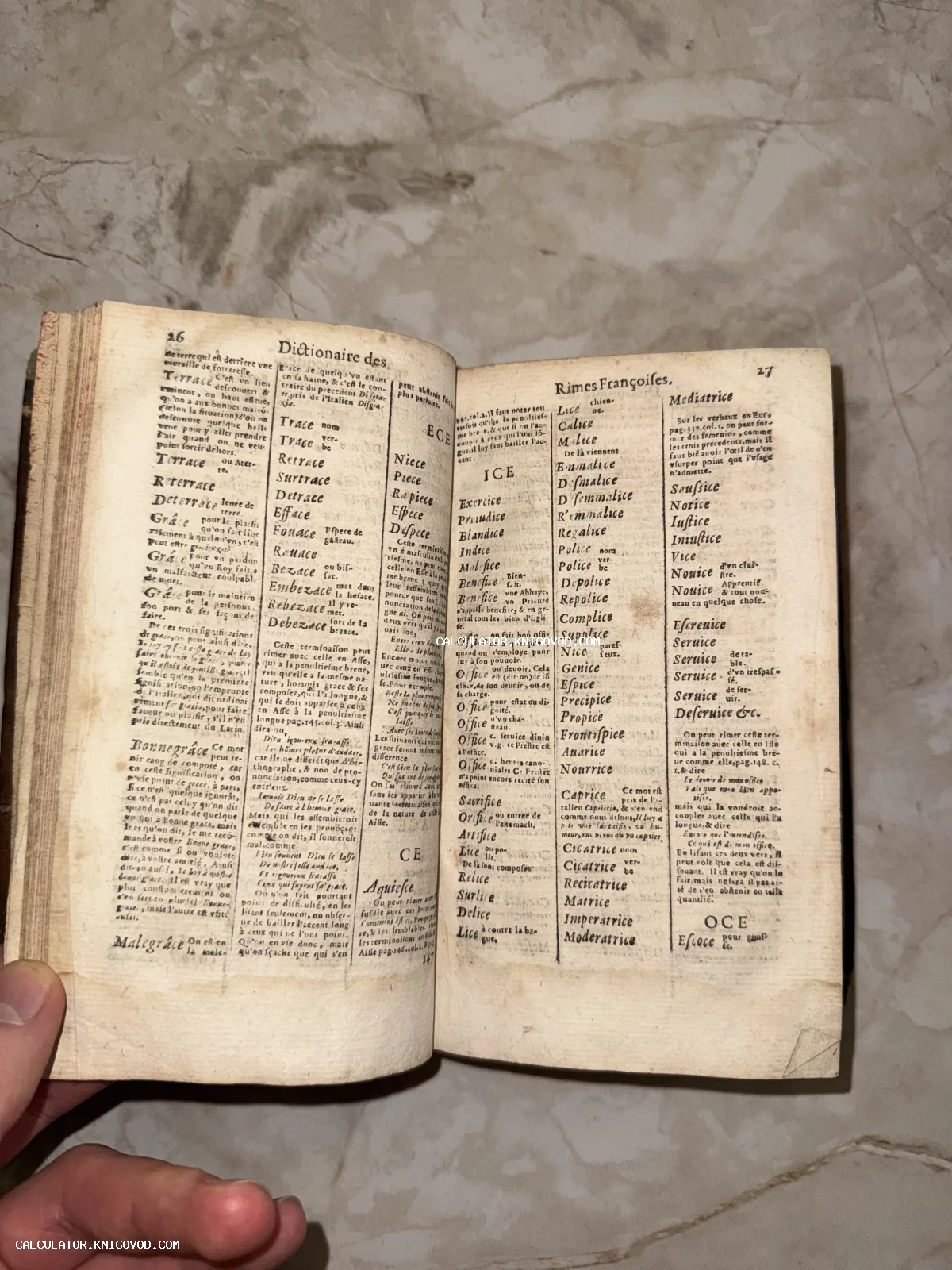 Разворот антикварной книги на французском языке с заголовком Dictionaire des Rimes Françoises и колонками текста.