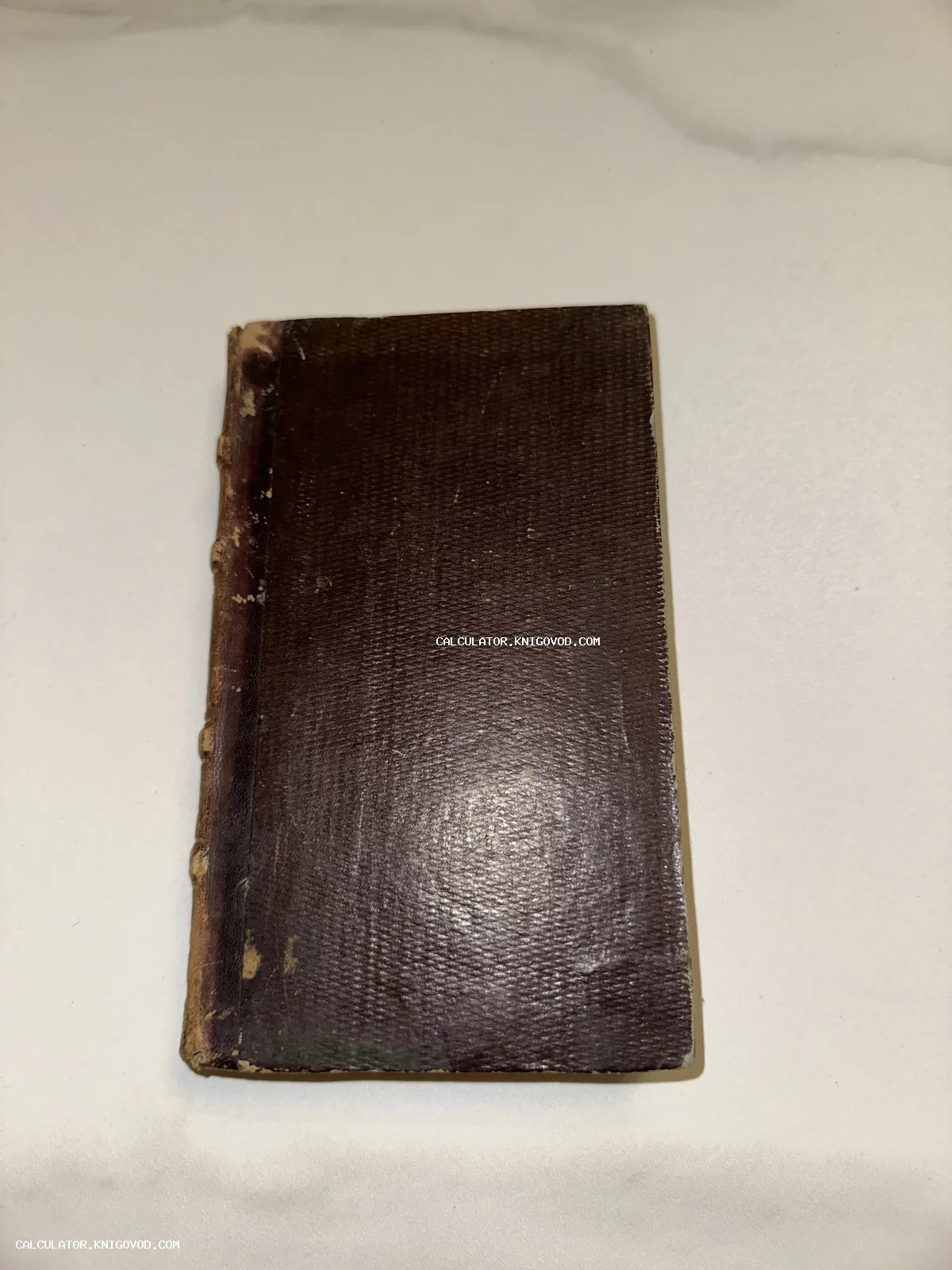 Обложка антикварной книги из темно-коричневой кожи с потертым корешком на белом фоне.