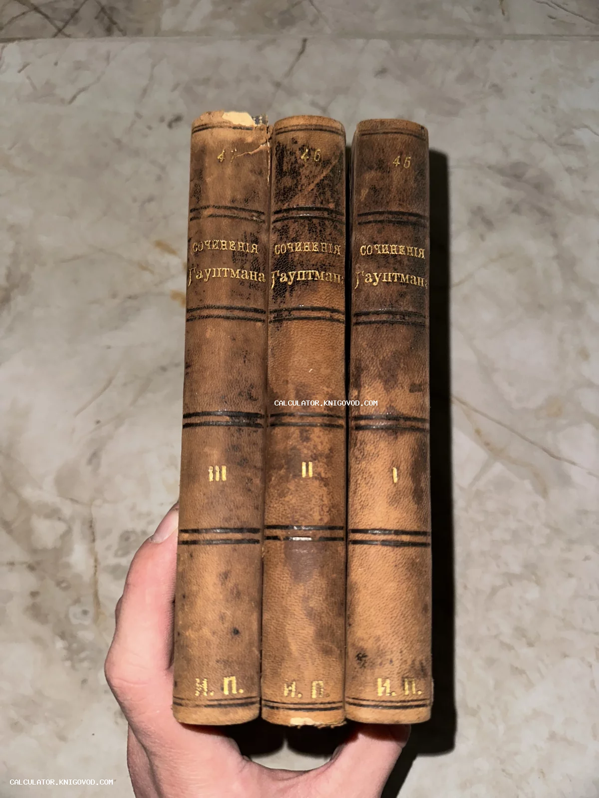 Три старинных антикварных тома сочинений Гауптмана с потертыми корешками и золотым тиснением.