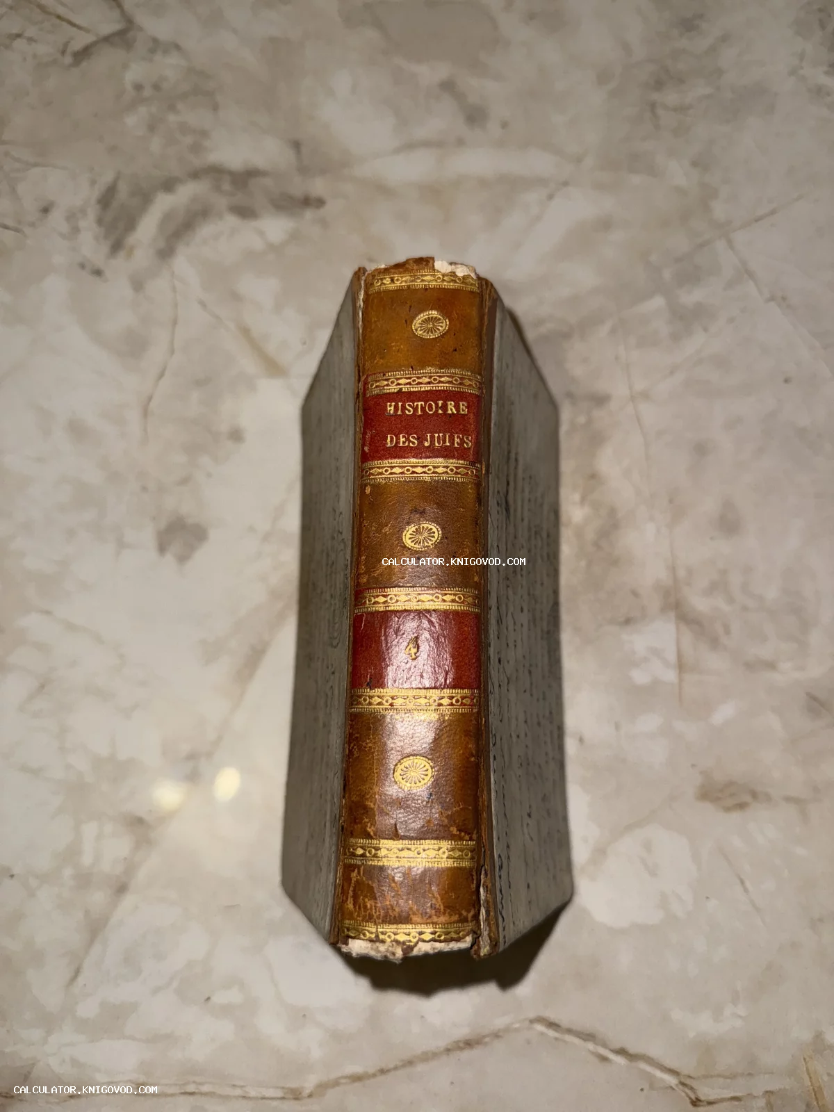 Корешок старинной книги в кожаном переплете с золотым тиснением и текстом Histoire des Juifs