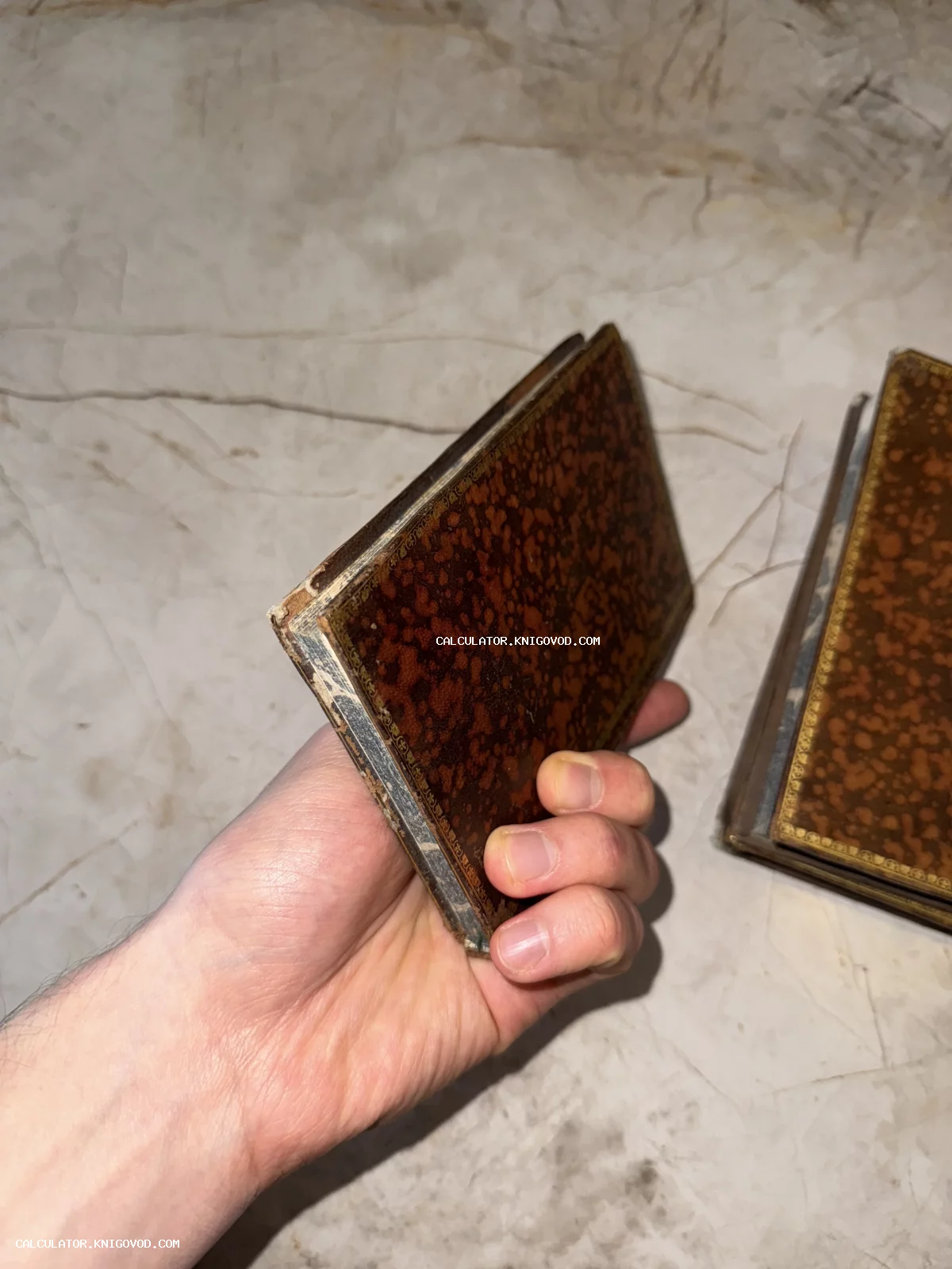 Рука держит старинную книгу в коричневом мраморном переплете с золотым тиснением на фоне светлого камня.