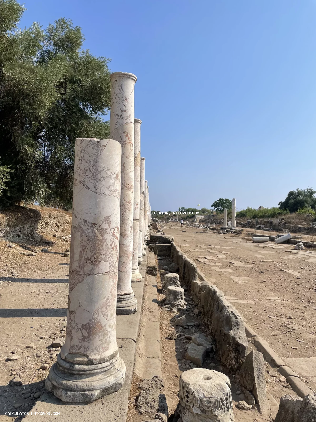Ряд древних мраморных колонн с характерным рисунком прожилок вдоль археологических раскопок античного города.