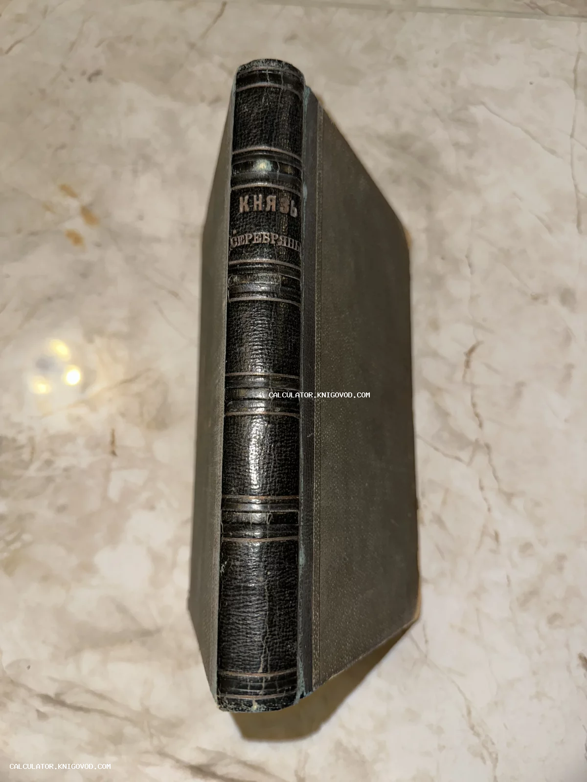 Корешок старинной книги в полукожаном переплете с золотым тиснением заголовка Князь Серебряный.