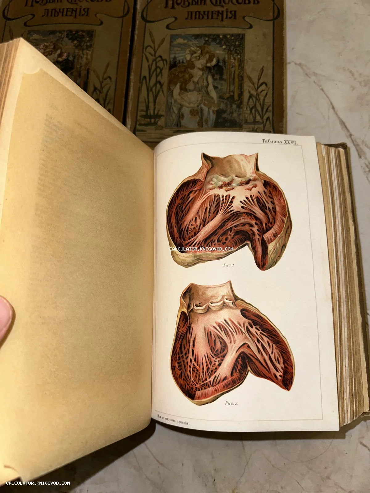 Разворот старинной книги с детальной цветной литографией анатомии человеческого сердца