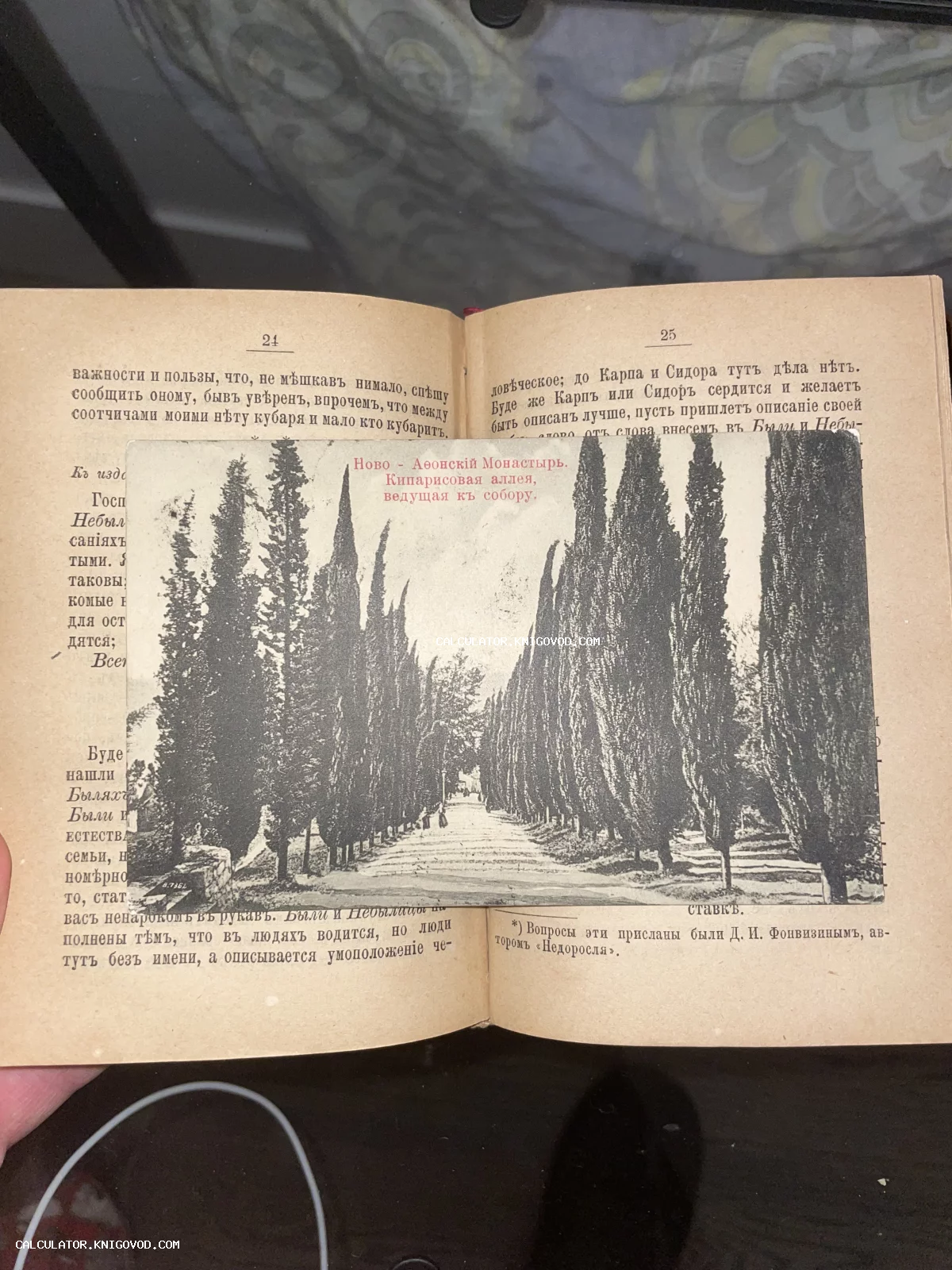 Старинная черно-белая открытка с видом на кипарисовую аллею в Новом Афоне, лежащая поверх разворота антикварной книги.