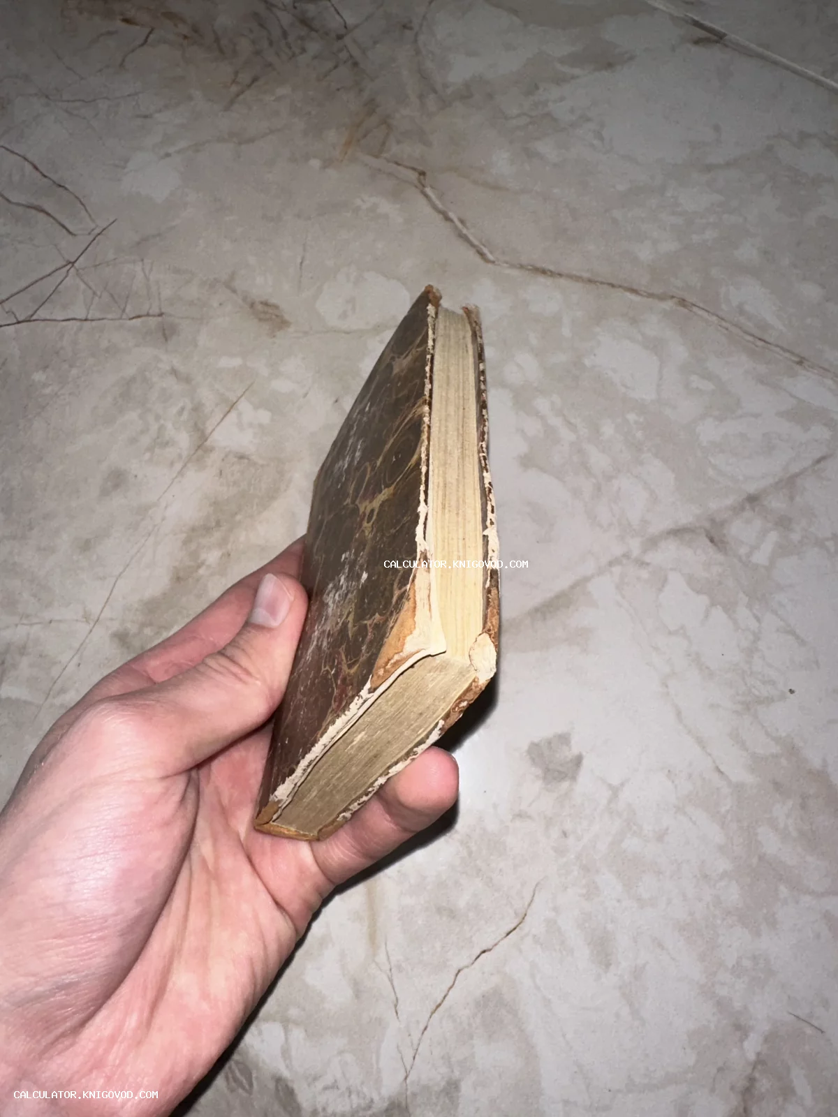 Старинный карманный томик с мраморным узором на обложке в руке коллекционера.