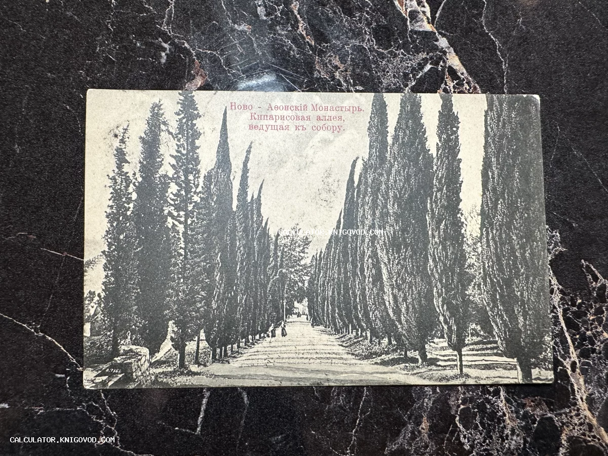 Старинная черно-белая открытка с видом на высокую кипарисовую аллею, ведущую к собору в Ново-Афонском монастыре.