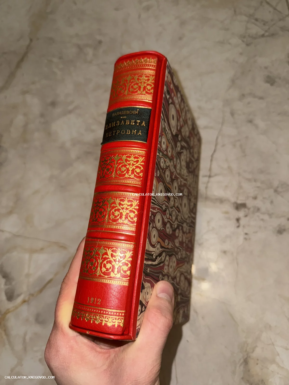 Корешок антикварной книги 1912 года в красной коже с золотым тиснением и декоративной мраморной бумагой.