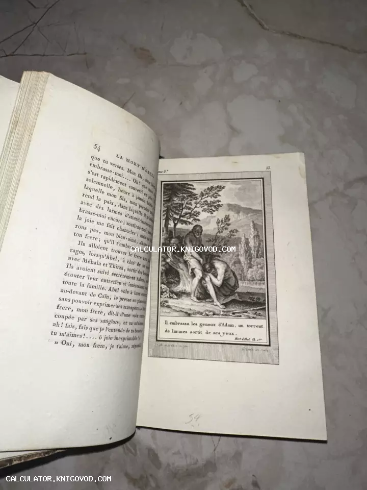 Разворот старинной книги на французском языке с гравированной иллюстрацией библейского сюжета «Смерть Авеля».