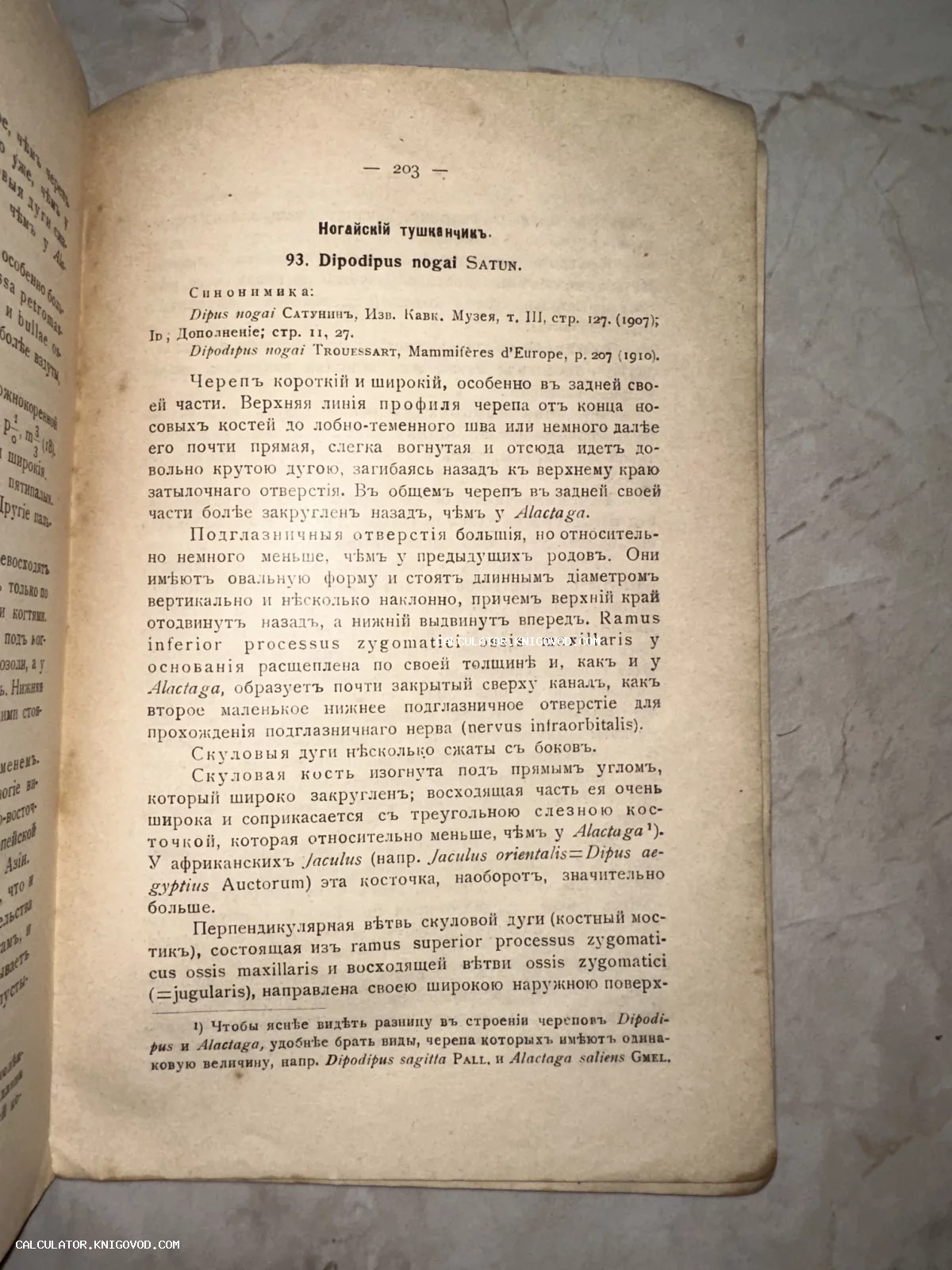 Страница старинной зоологической книги с текстом на дореволюционном русском языке, посвященная описанию Ногайского тушканчика.
