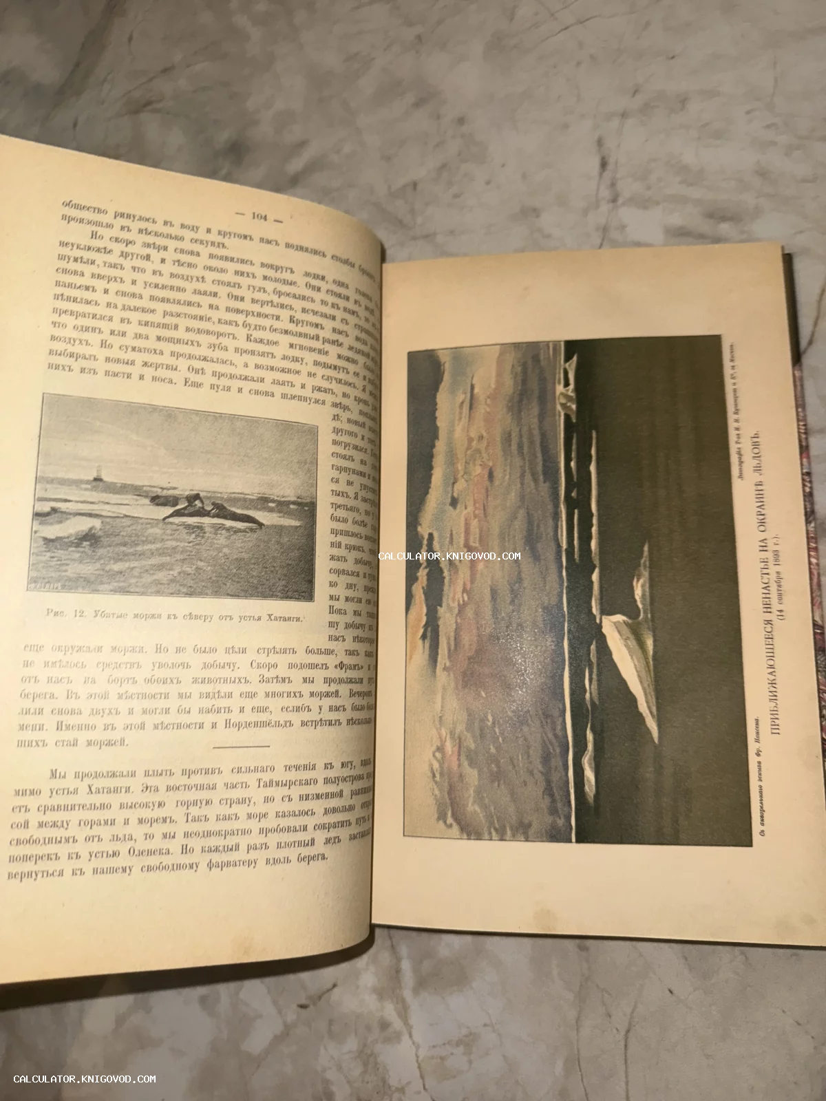 Разворот старинной книги с дореволюционным шрифтом и цветной вклейкой-литографией, изображающей арктический пейзаж с льдинами.