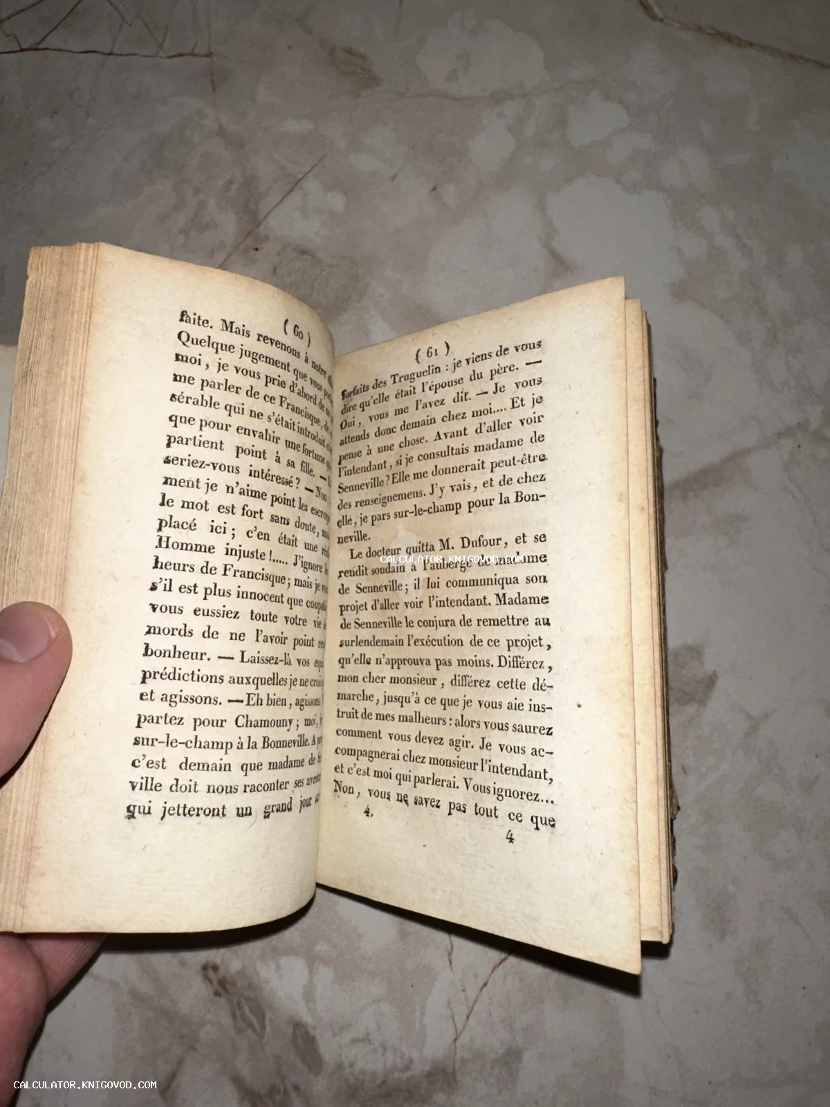 Разворот старинной антикварной книги на французском языке с пожелтевшими от времени страницами и классической типографикой.