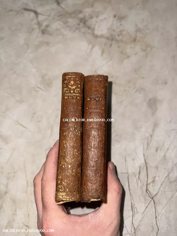 Два тома антикварных книг Жан-Жака Руссо в коричневом кожаном переплете с золотым тиснением на корешках.