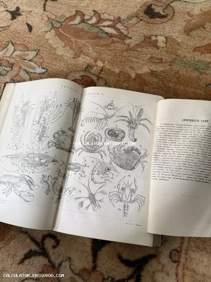 Разворот антикварной книги с черно-белыми гравюрами различных видов ракообразных, крабов и креветок с научными подписями.