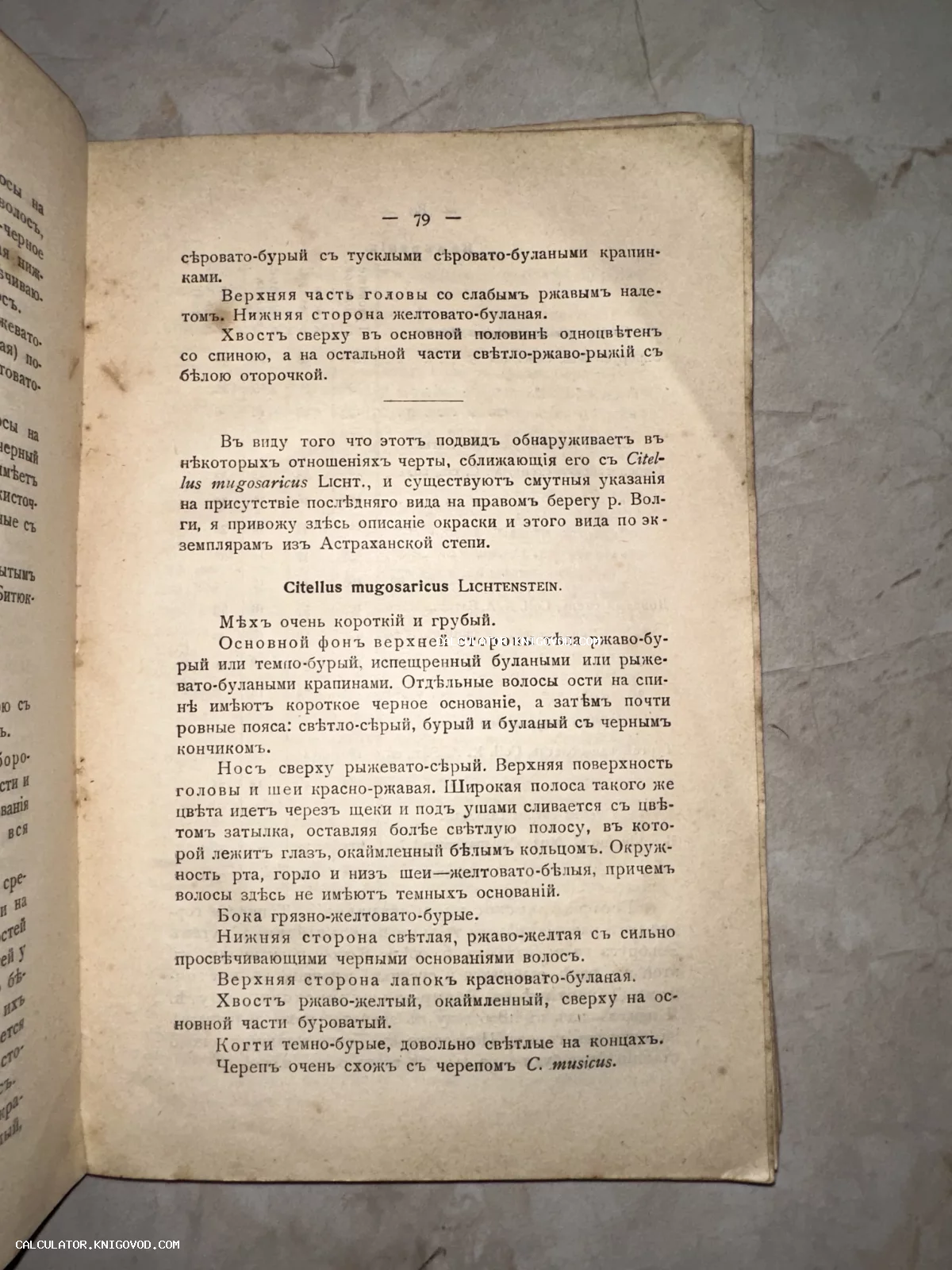Старинная книжная страница с текстом на дореформенном русском языке, описывающая вид Citellus mugosaricus.