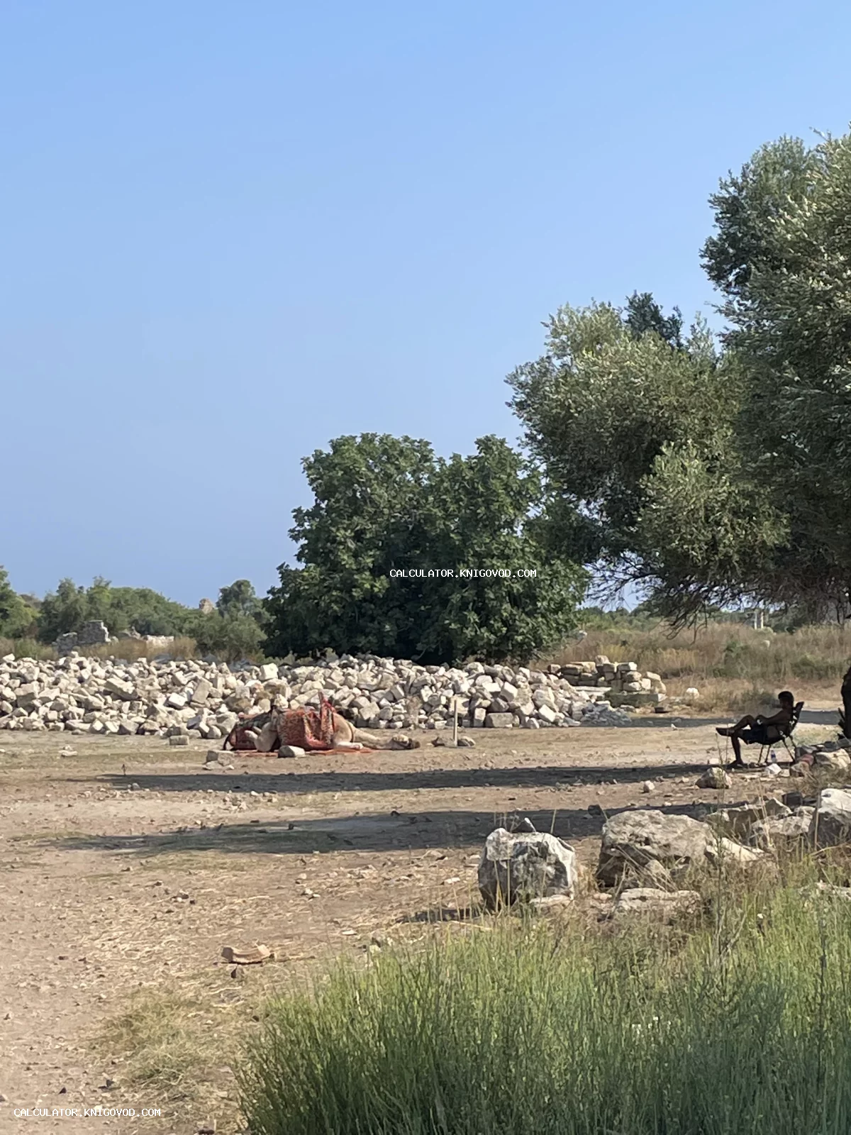 Верблюд с традиционным седлом лежит на пыльной земле на фоне груды белых камней и археологических раскопок.