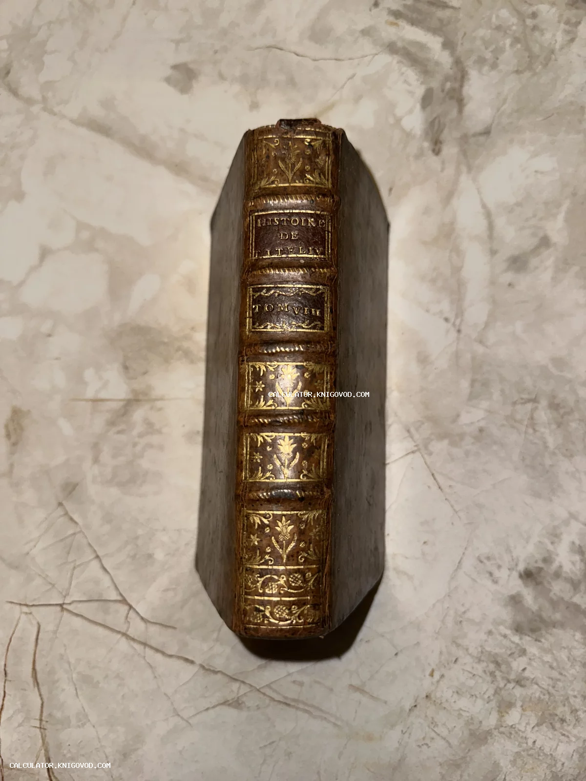 Корешок антикварной книги Histoire de Tite Live в кожаном переплете с золотым растительным орнаментом на светлом мраморе.