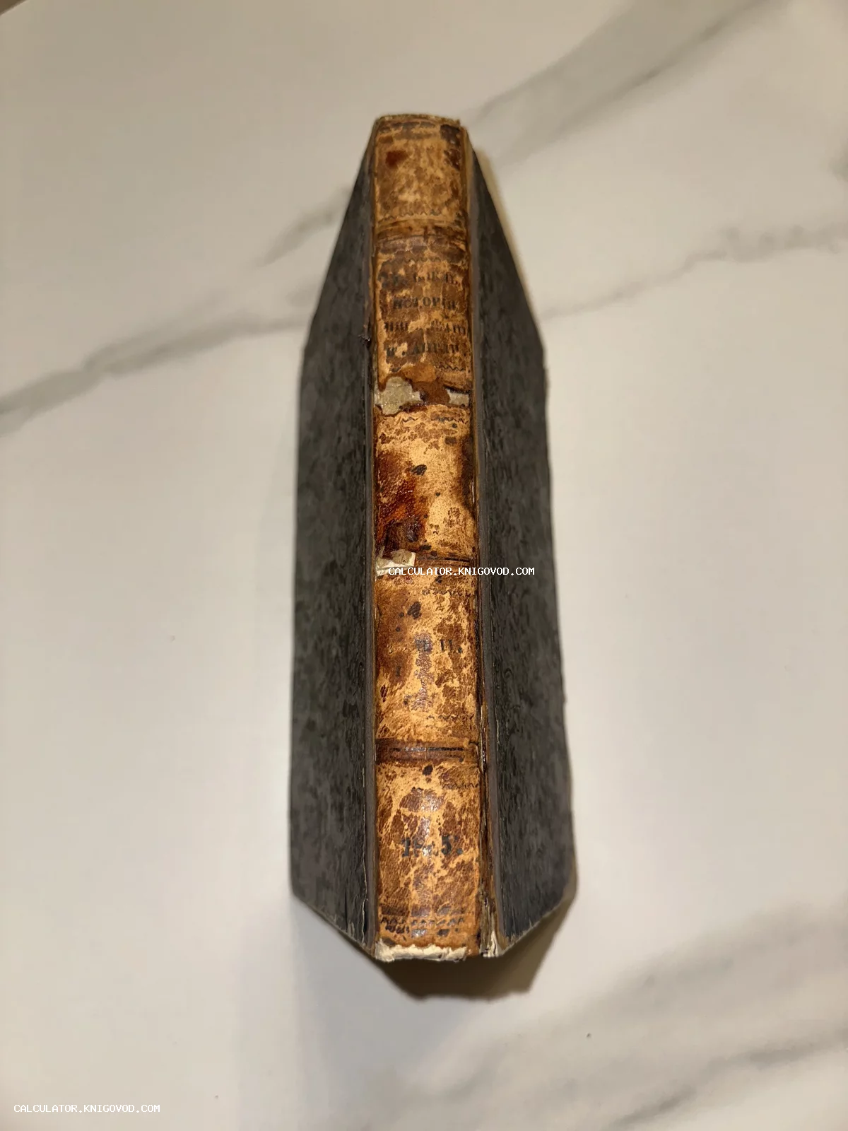 Крупный план потертого кожаного корешка антикварной книги с тиснением на светлом фоне.