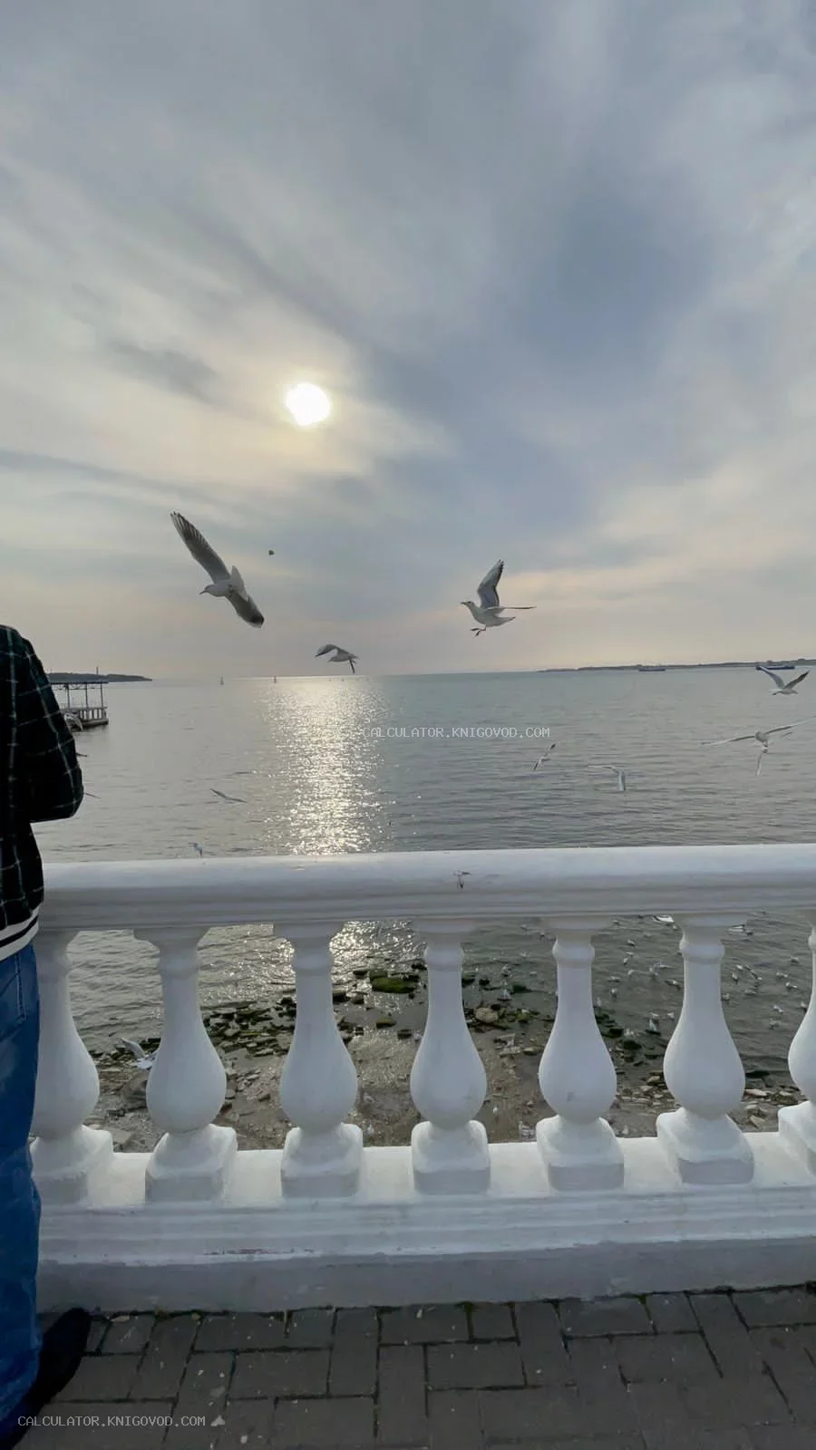 Вид на море через классическую белую балюстраду с летящими чайками под мягким солнечным светом.