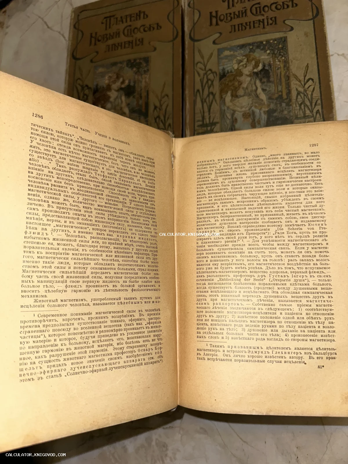 Разворот антикварной книги с текстом о магнетизме на дореволюционном русском языке.