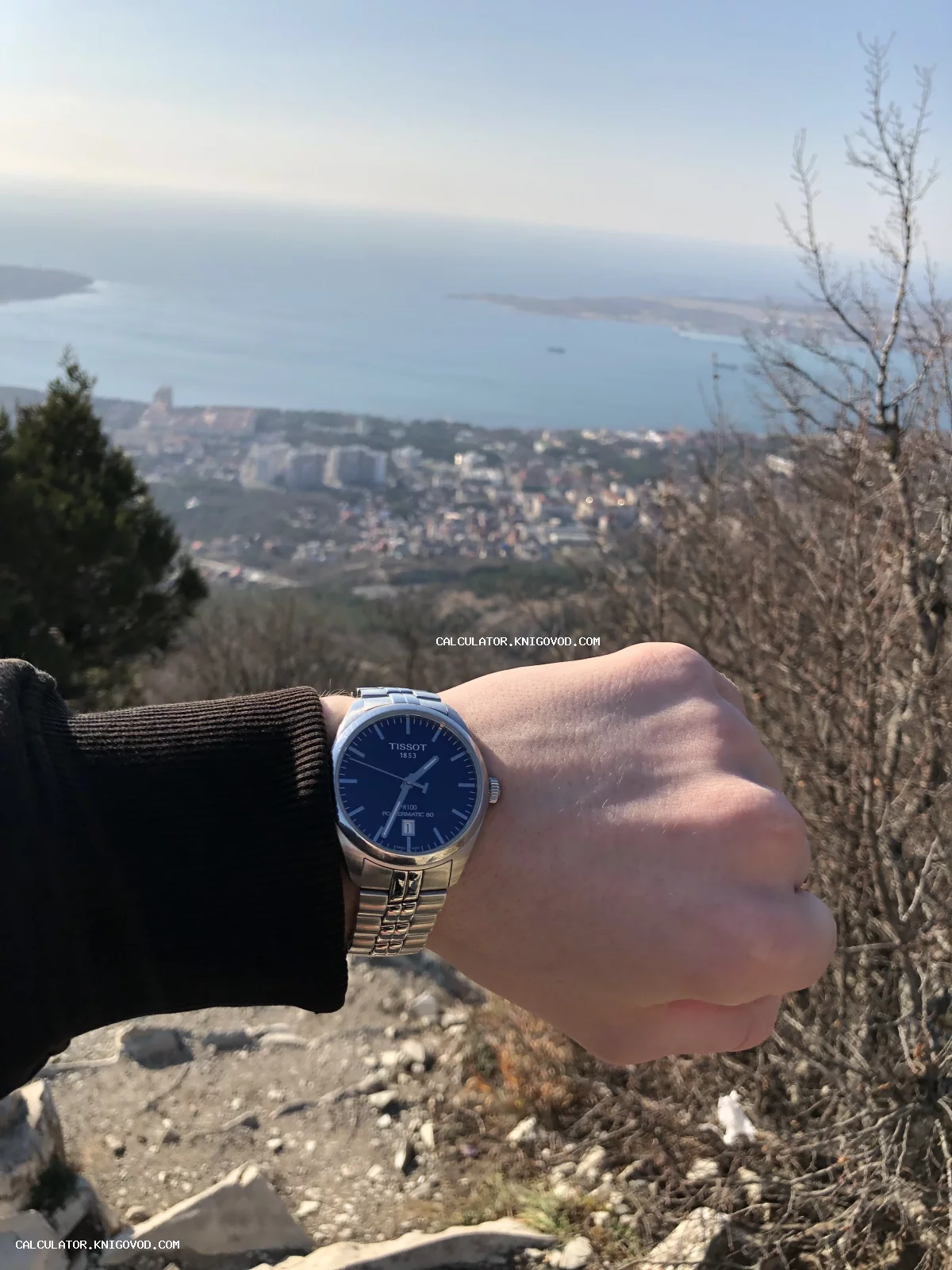 Наручные мужские часы Tissot PR 100 с синим циферблатом и стальным браслетом на фоне панорамы прибрежного города и моря