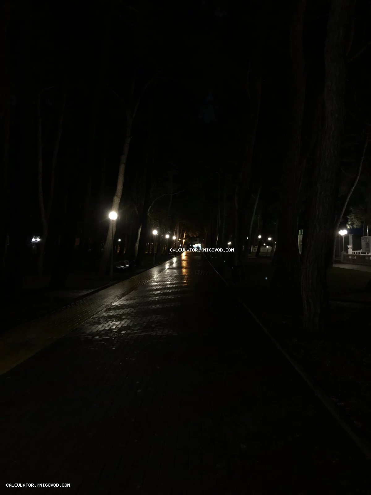 Ночной парк с мокрой брусчаткой, освещенной круглыми фонарями в окружении высоких темных деревьев.