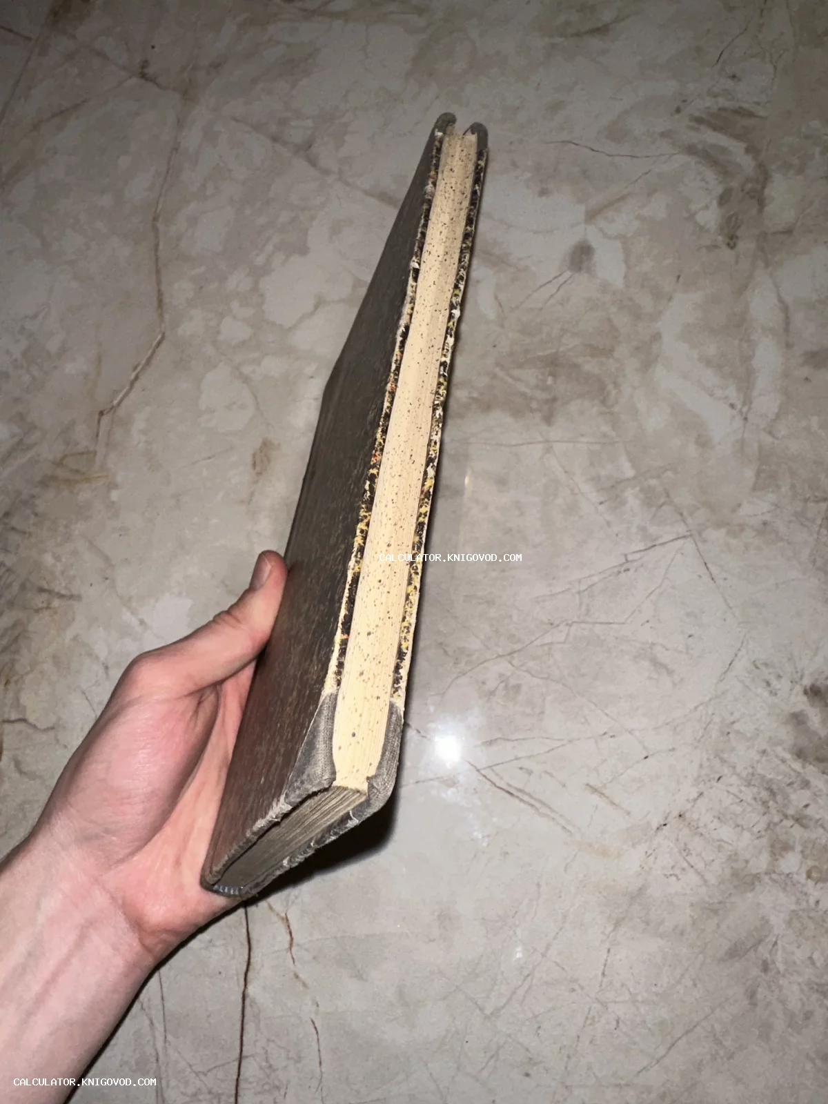 Рука держит старую книгу, вид со стороны книжного блока и потертых углов переплета.