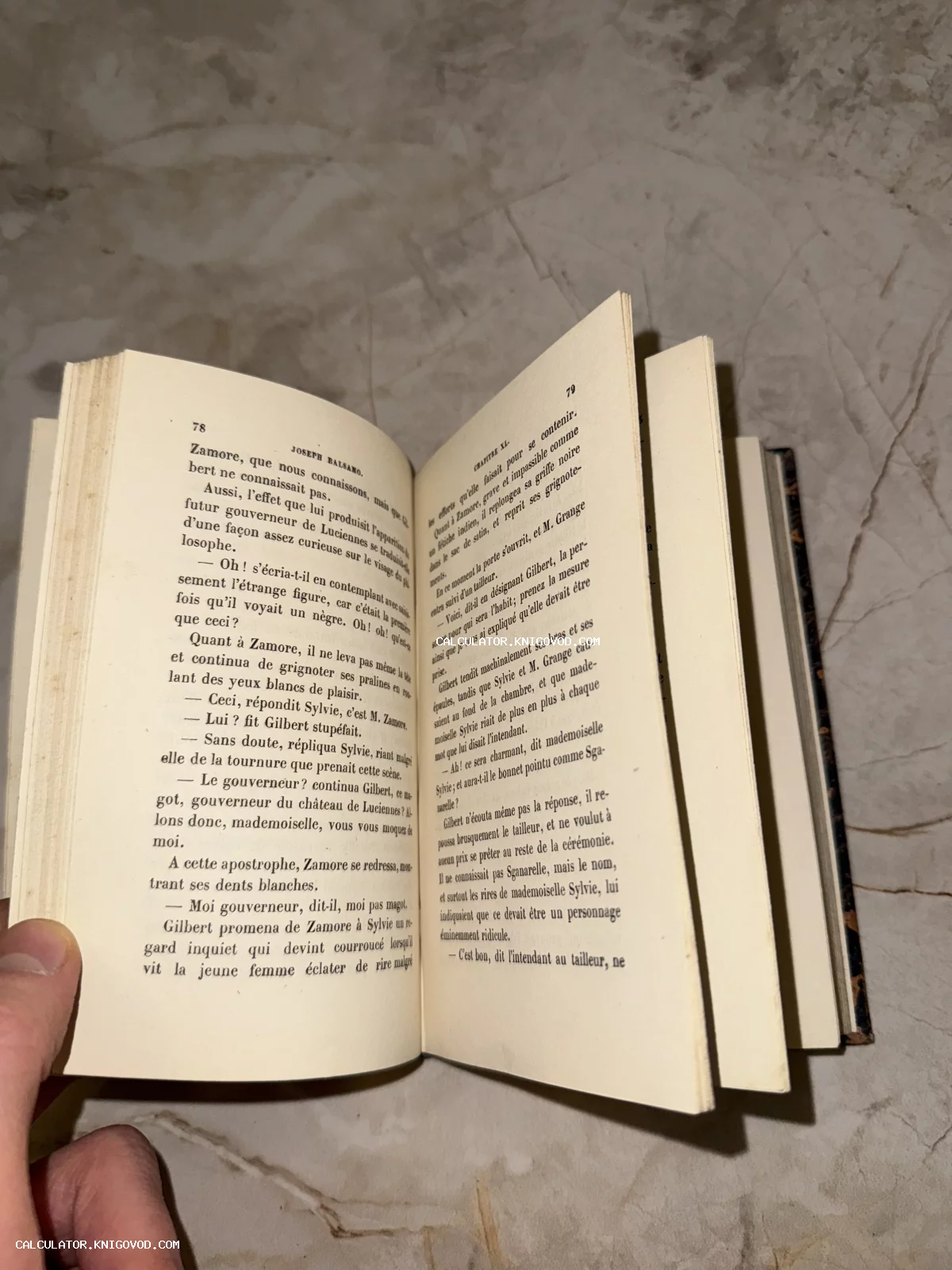 Разворот старинной книги на французском языке с пожелтевшими страницами и четким шрифтом.