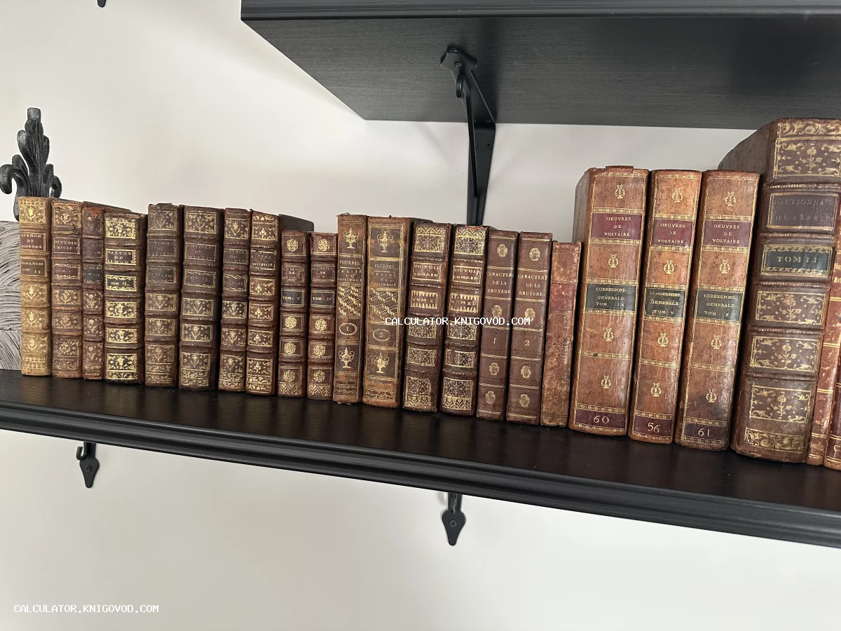 Ряд старинных книг XVIII-XIX веков в коричневых кожаных переплетах с золотым тиснением на черной полке