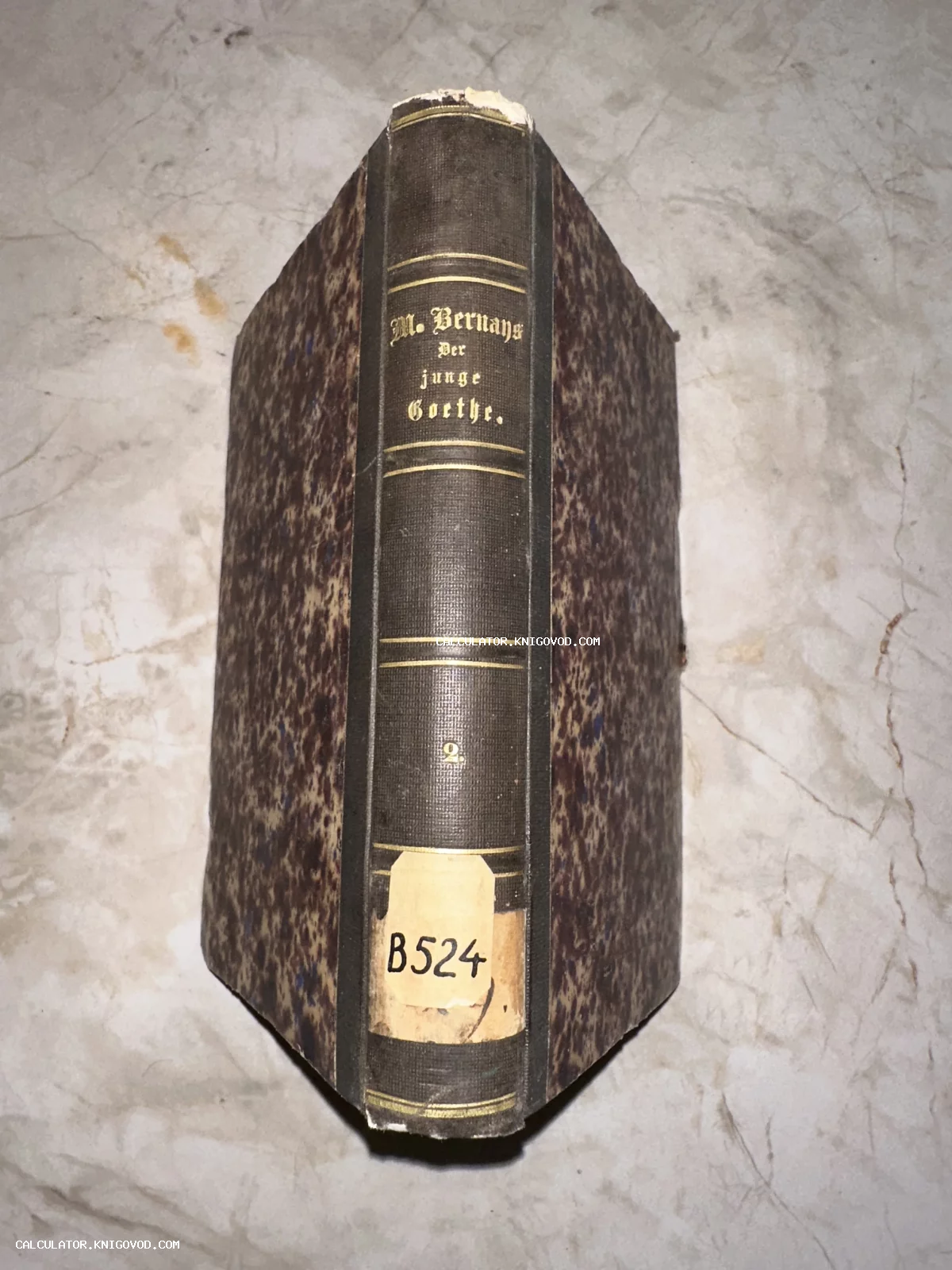 Корешок и обложка старинной книги на немецком языке под названием Der junge Goethe авторства M. Bernays с мраморным узором.