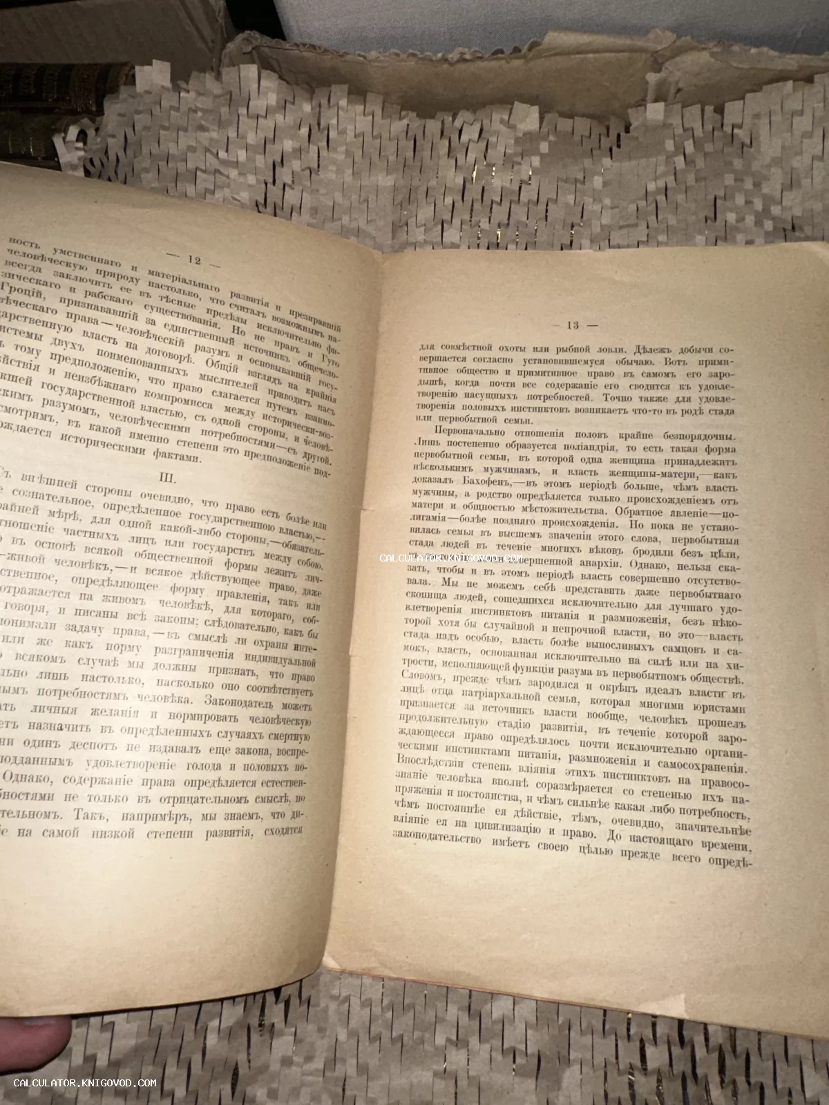 Разворот открытой старинной книги с текстом на дореволюционном русском языке, напечатанным на пожелтевшей бумаге.