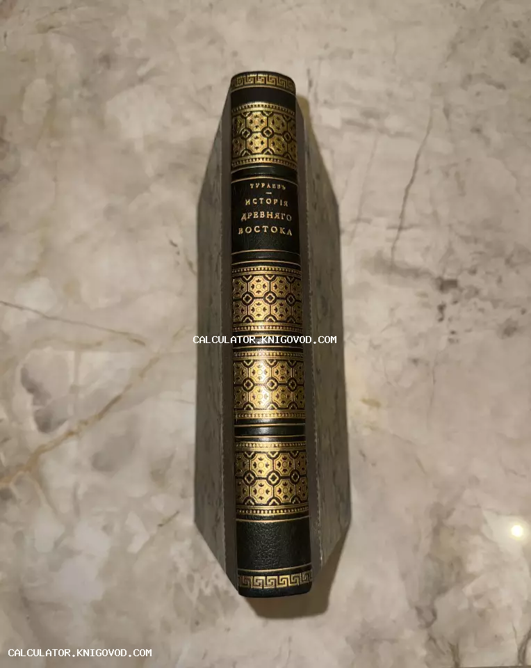 Корешок антикварной книги Бориса Тураева «История Древнего Востока» с золотым тиснением и орнаментом на темной коже.