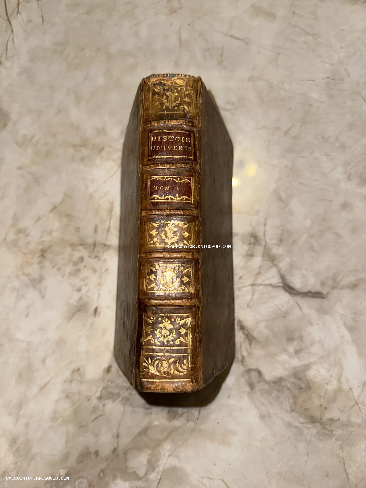 Корешок старинной книги с золотым тиснением, надписью Histoire Universelle и декоративными растительными орнаментами.