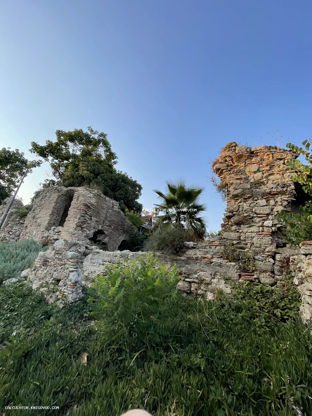 Развалины древней каменной стены с элементами кирпичной кладки, заросшие зеленью и пальмой на фоне ясного неба.