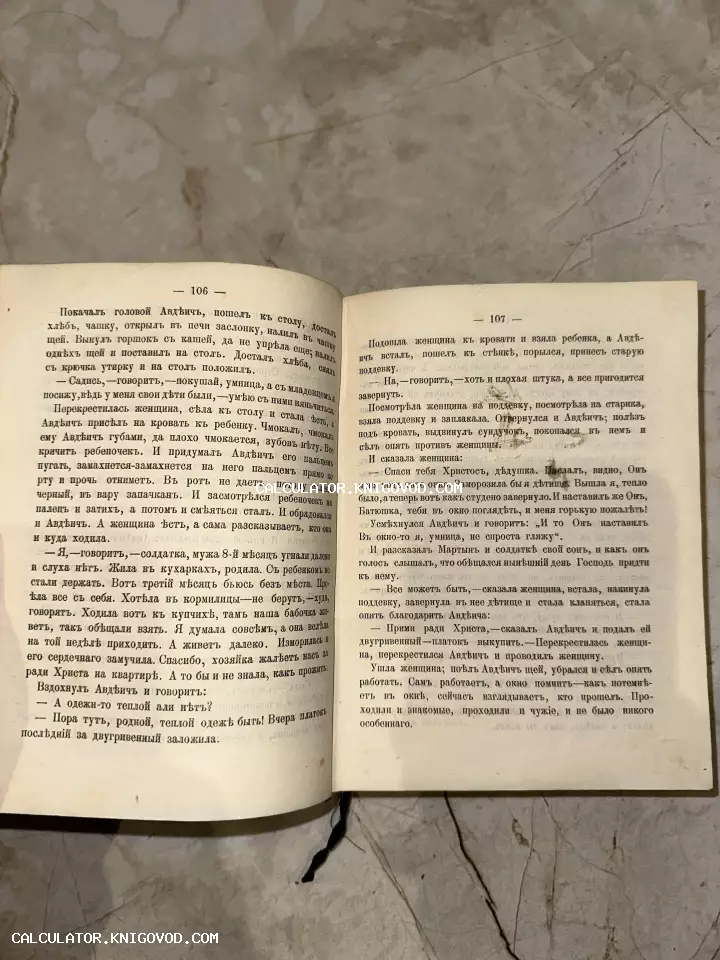 Фотография разворота старой книги со страницами 106 и 107, напечатанными с использованием дореволюционной кириллицы.