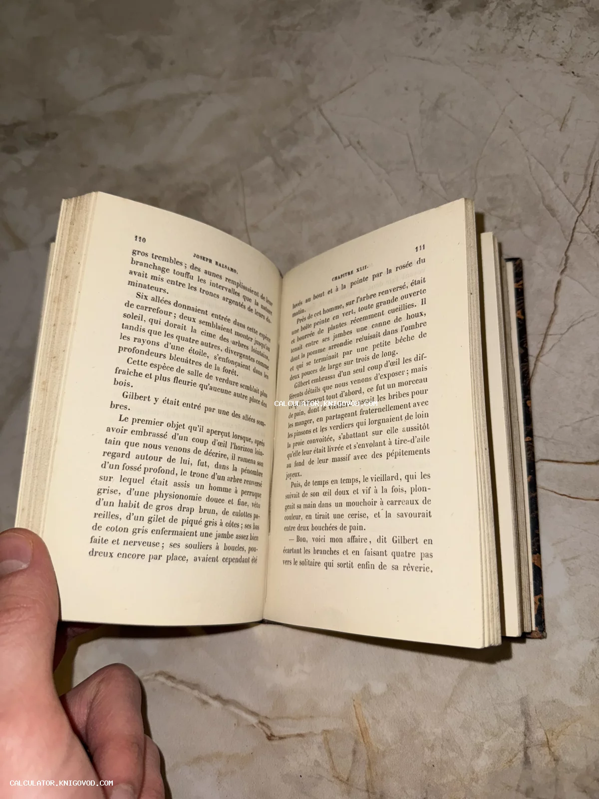 Разворот старинной книги на французском языке с текстом романа Жозеф Бальзамо, страницы 110 и 111.