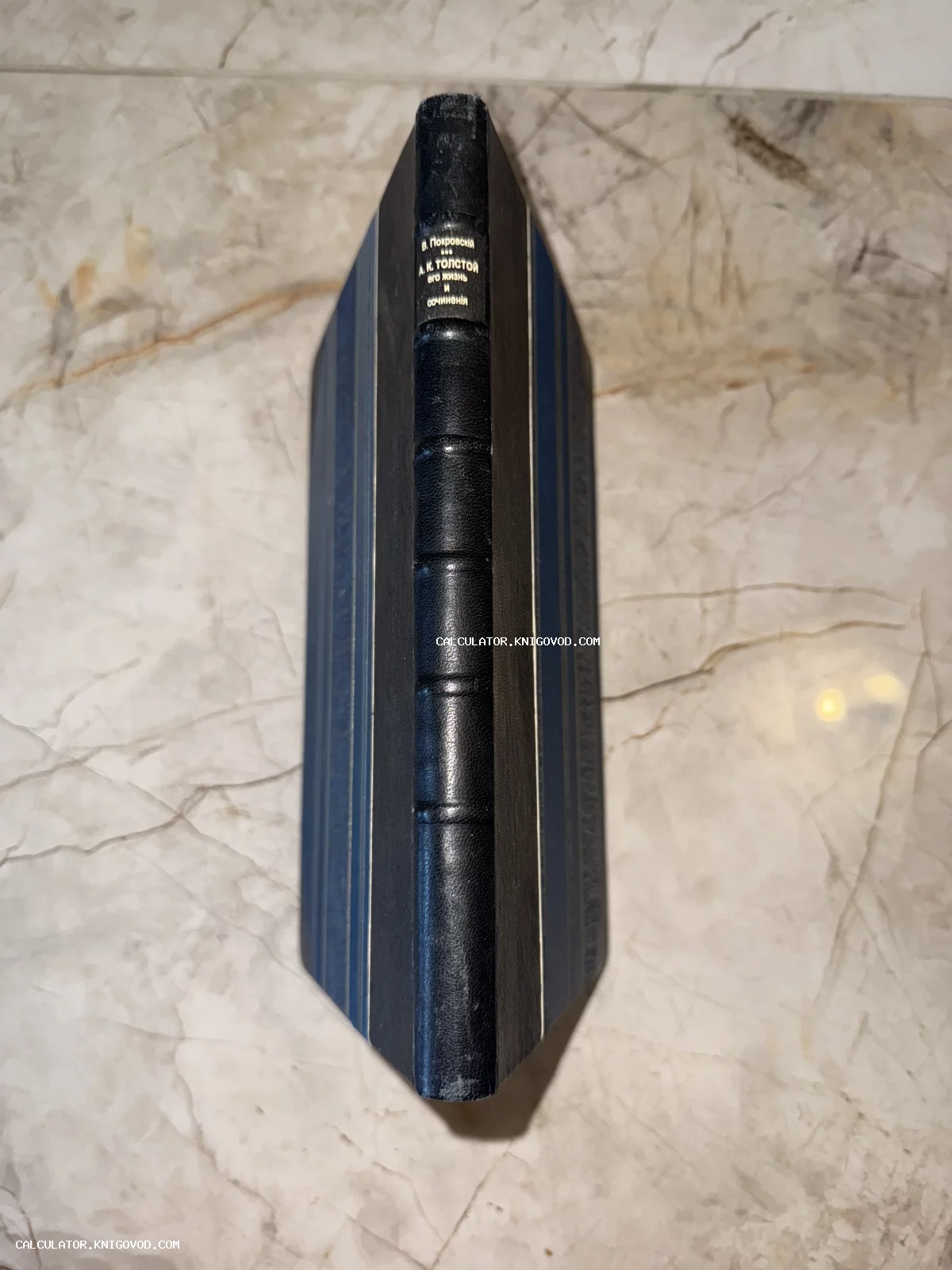 Корешок антикварной книги в черном кожаном переплете с золотым тиснением на мраморном фоне.