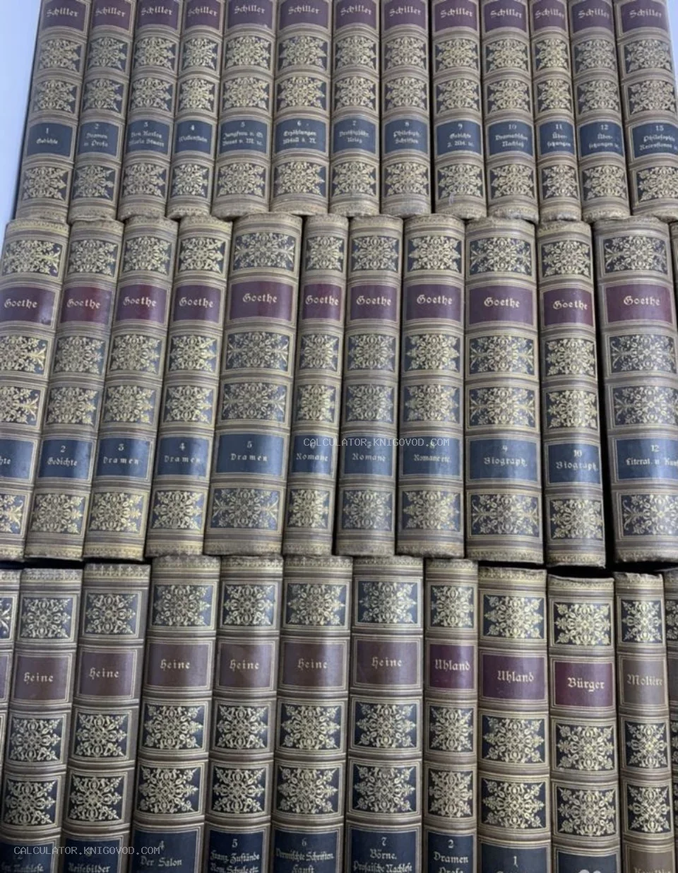 Три ряда старинных книг с золотым тиснением на корешках, авторы Гёте, Шиллер, Гейне и Мольер.