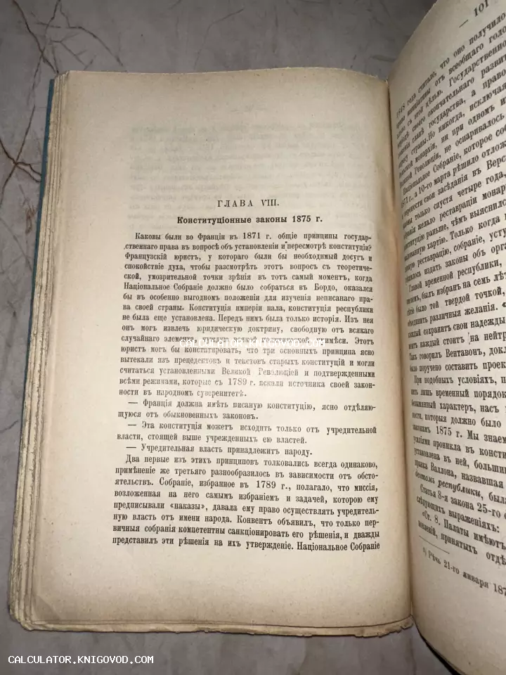 Разворот открытой антикварной книги с текстом на дореволюционном русском языке, заголовок Глава VIII Конституционные законы 1875 г.
