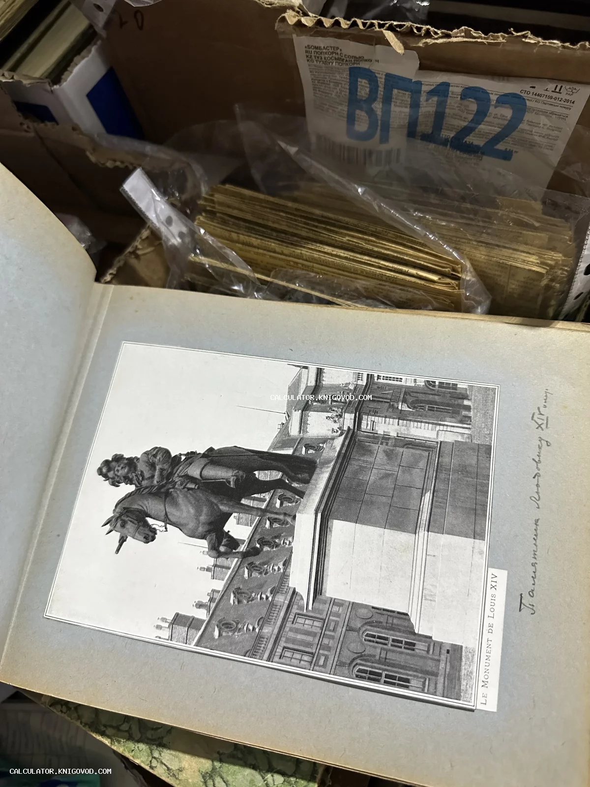 Старинная черно-белая печатная иллюстрация конного памятника королю Людовику XIV на странице антикварной книги.